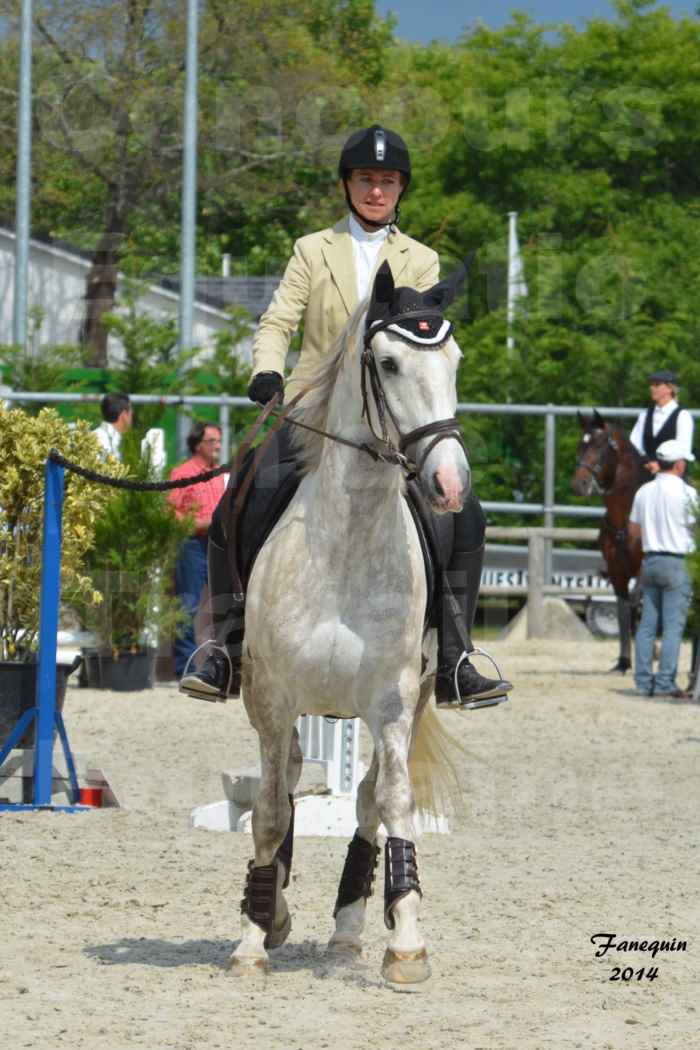 Salon Equitaine de Bordeaux en 2014 - concours Equitation de travail - Épreuve de Maniabilité chronométré - B - 01