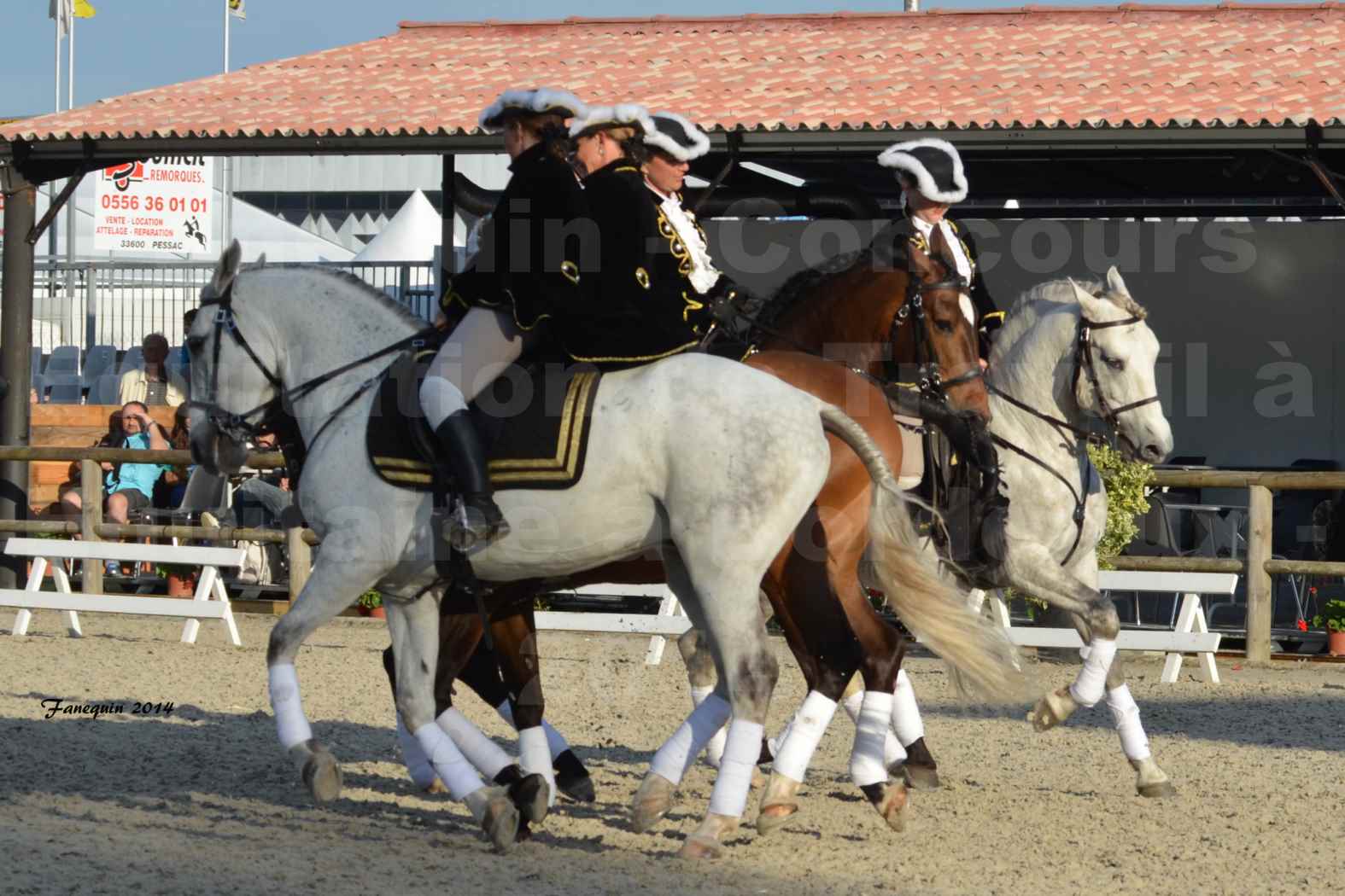 Carrousel de cavalières Equitation de travail lors du salon "Equitaine" à Bordeaux en 2014 - 43