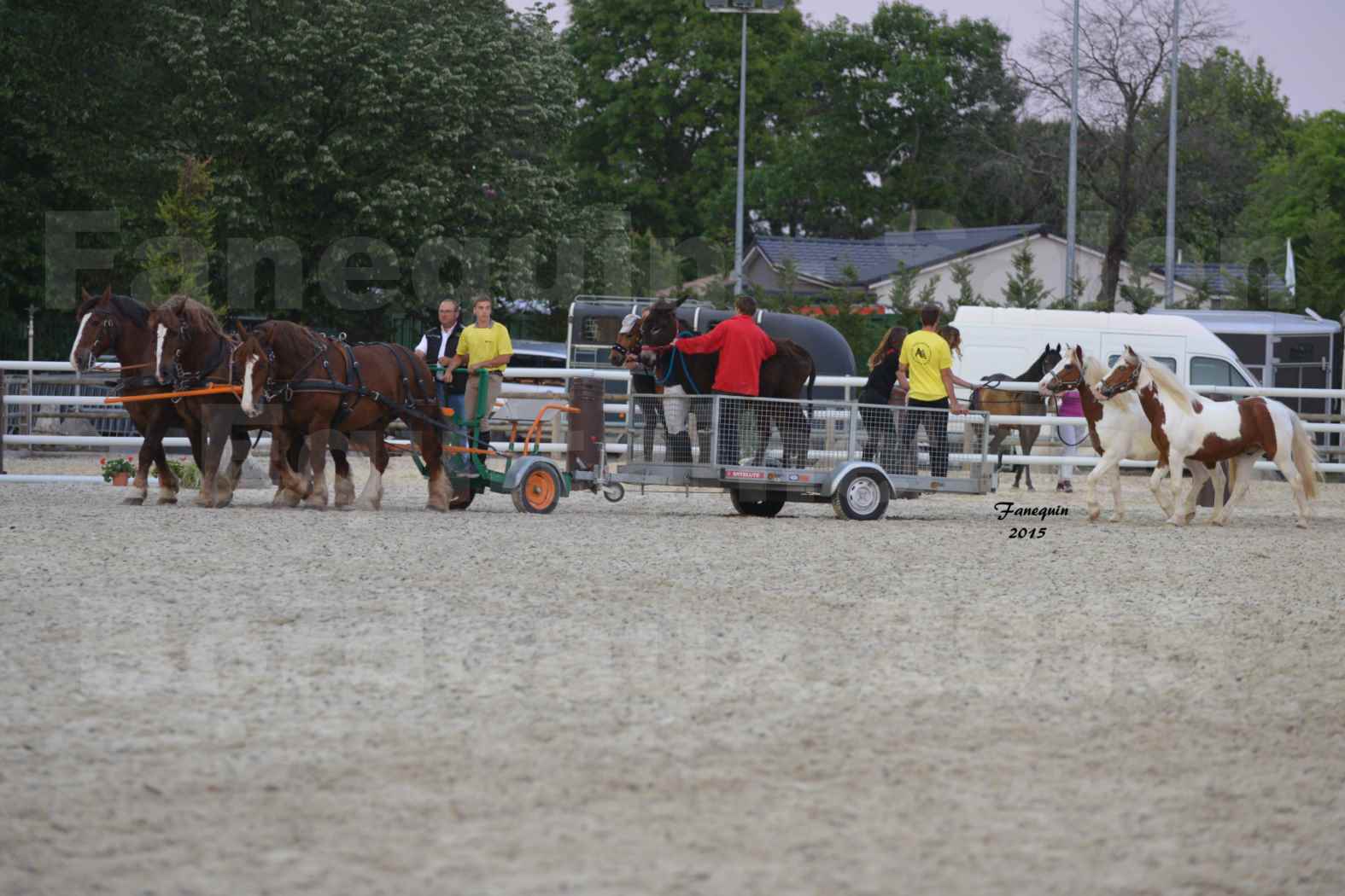Salon Equitaine de Bordeaux 2015 - Démonstration d'attelage à 3 chevaux de front - 05