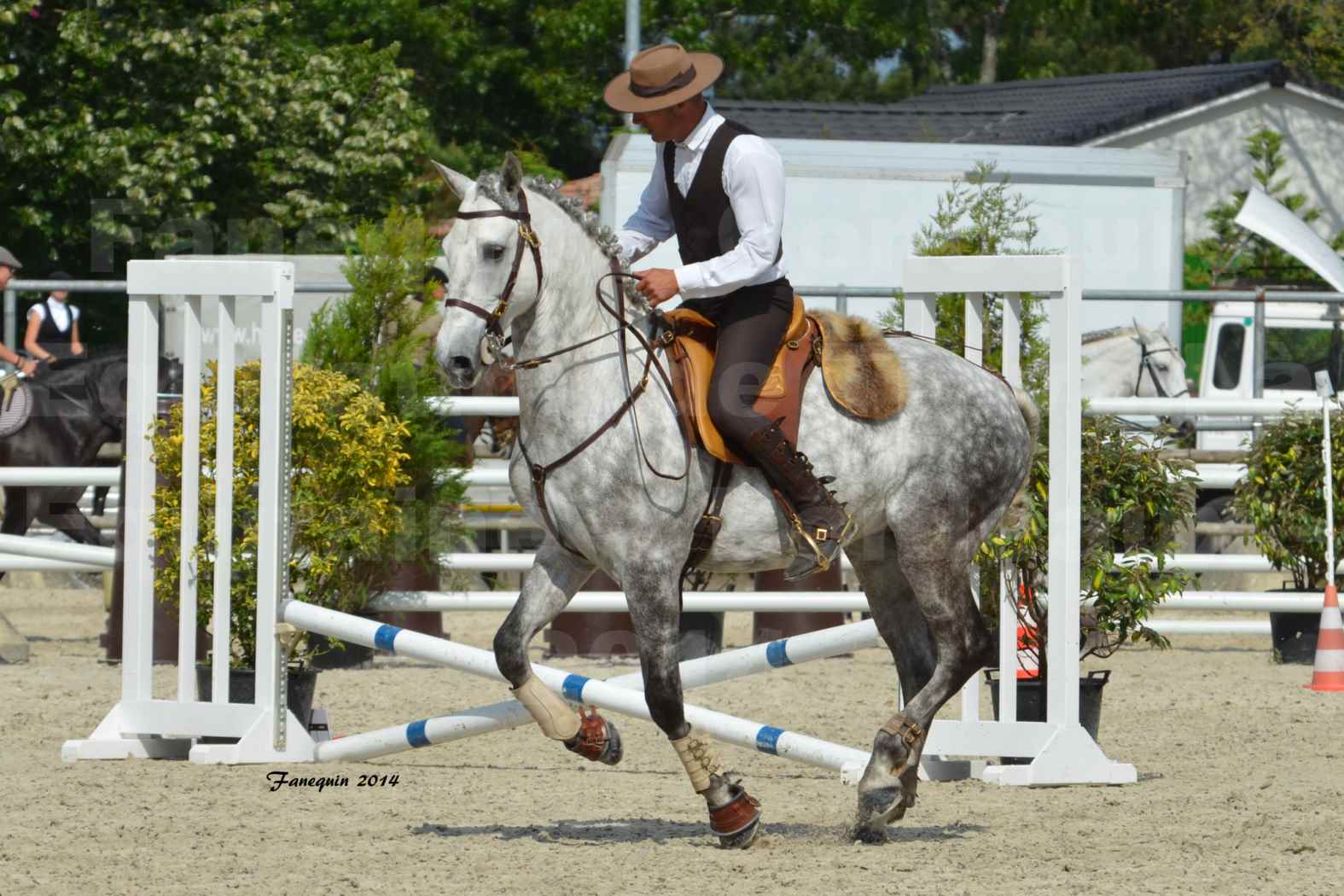 Salon Equitaine de Bordeaux en 2014 - concours Equitation de travail - Épreuve de Maniabilité chronométré - P - 32