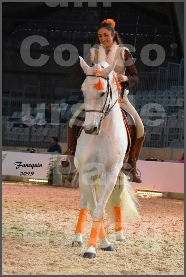 Cheval Passion 2019 - Concours de Pas Espagnol - Étalon "ZIDANE" - 28