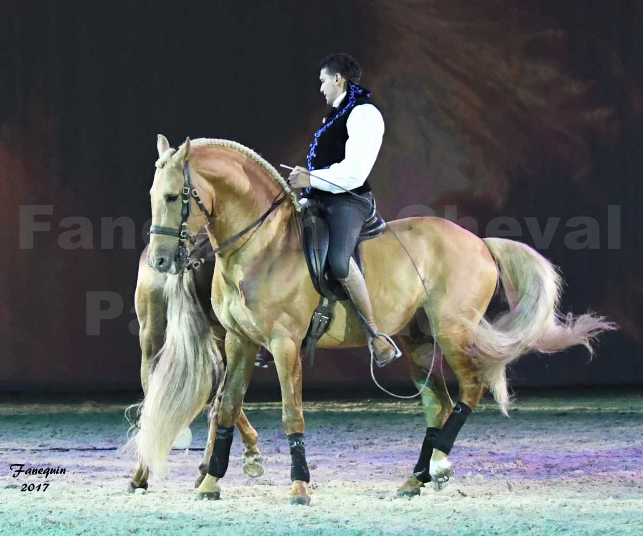 Cheval Passion 2017 - gala des Crinières d'OR - GARI ZOHER - 10