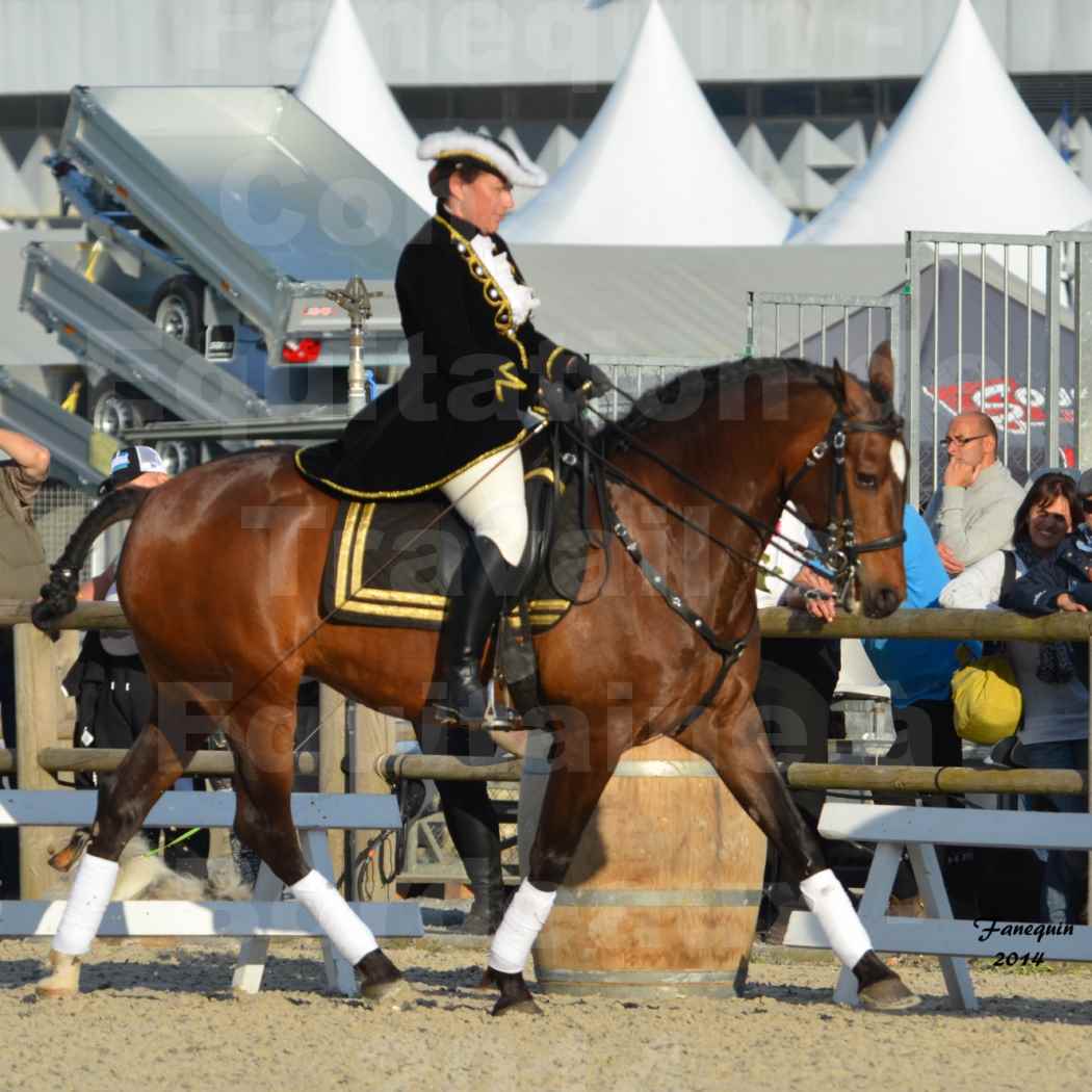 Carrousel de cavalières Equitation de travail lors du salon "Equitaine" à Bordeaux en 2014 - 30