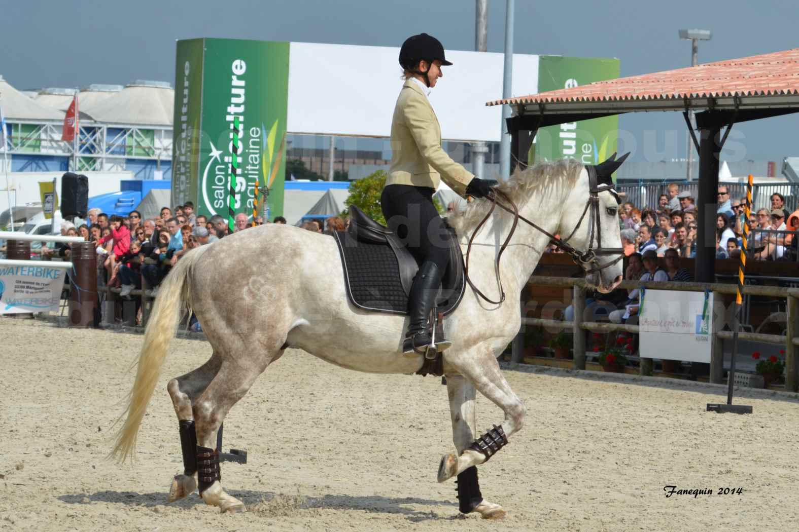 Salon Equitaine de Bordeaux en 2014 - concours Equitation de travail - Épreuve de Maniabilité chronométré - B - 05