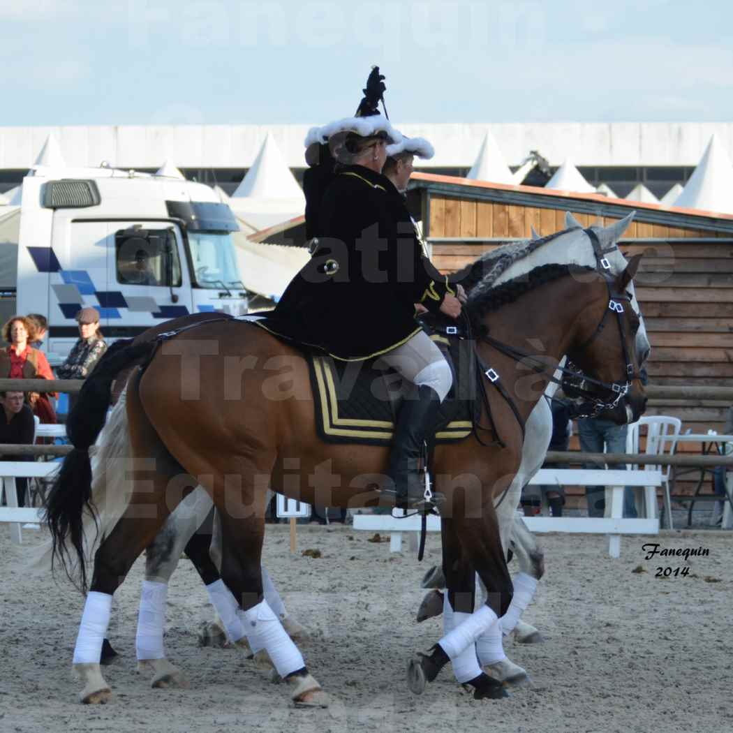 Carrousel de cavalières Equitation de travail lors du salon "Equitaine" à Bordeaux en 2014 - 69
