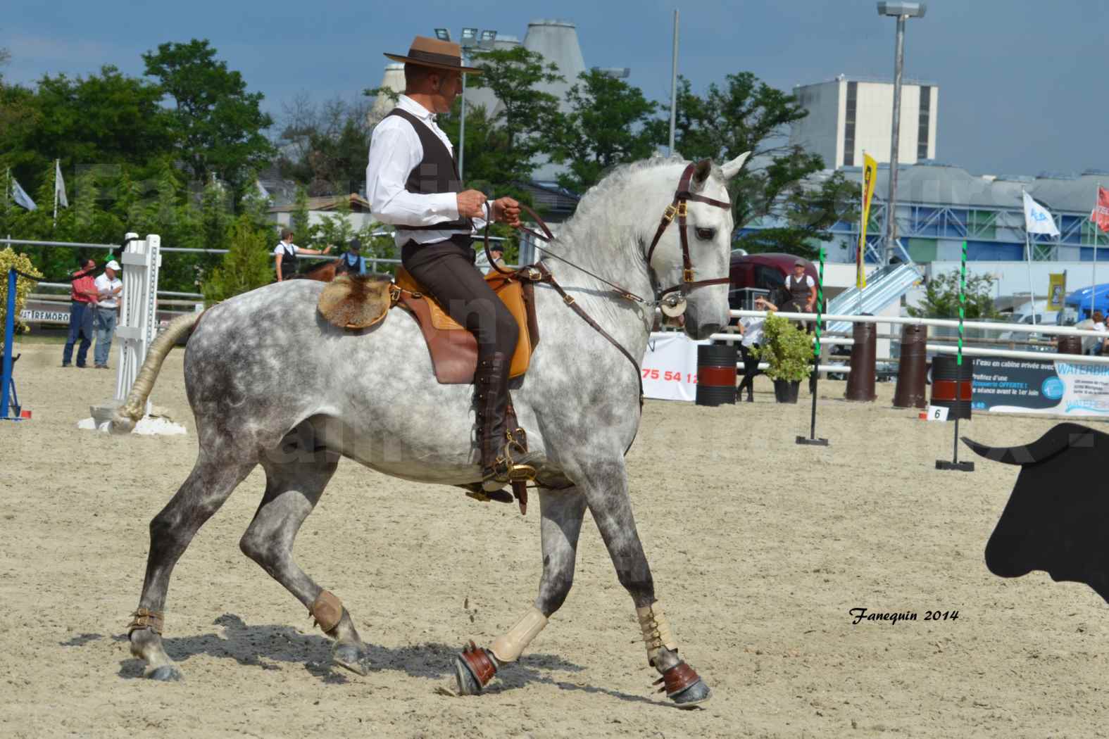 Salon Equitaine de Bordeaux en 2014 - concours Equitation de travail - Épreuve de Maniabilité chronométré - P - 02