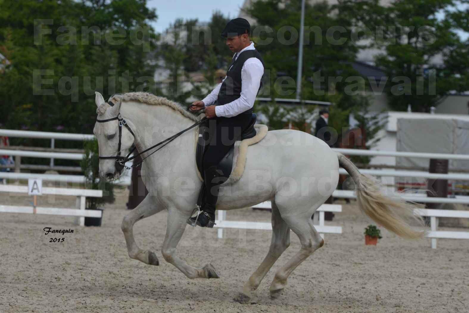 Salon Equitaine de Bordeaux 2015 - Concours d'Equitation de Travail avec chevaux Ibériques - H - 4