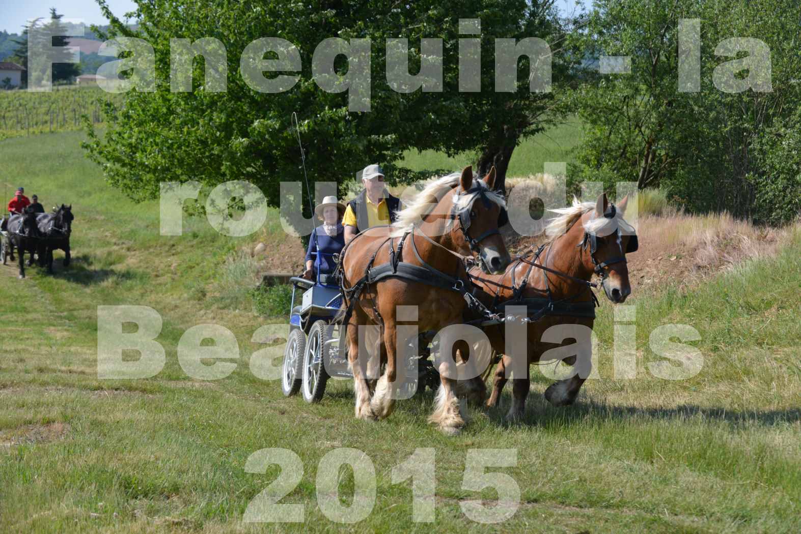 La Route Du Beaujolais 2015 - dimanche 24 mai 2015 - parcours en matinée - 19