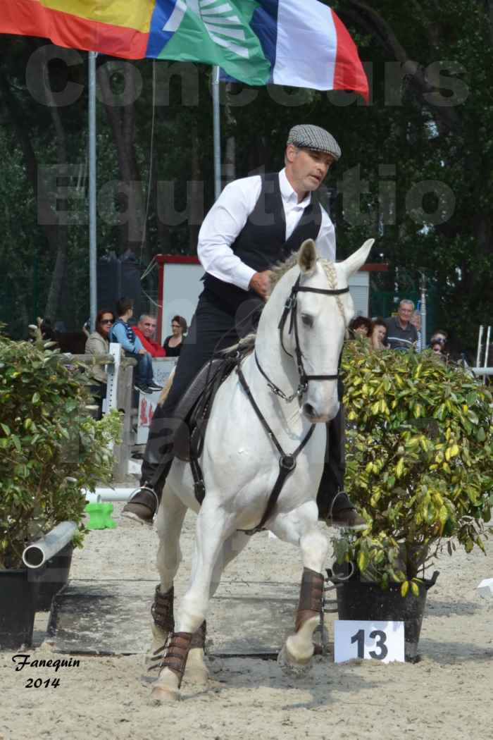 Salon Equitaine de Bordeaux en 2014 - concours Equitation de travail - Épreuve de Maniabilité chronométré - H - 17