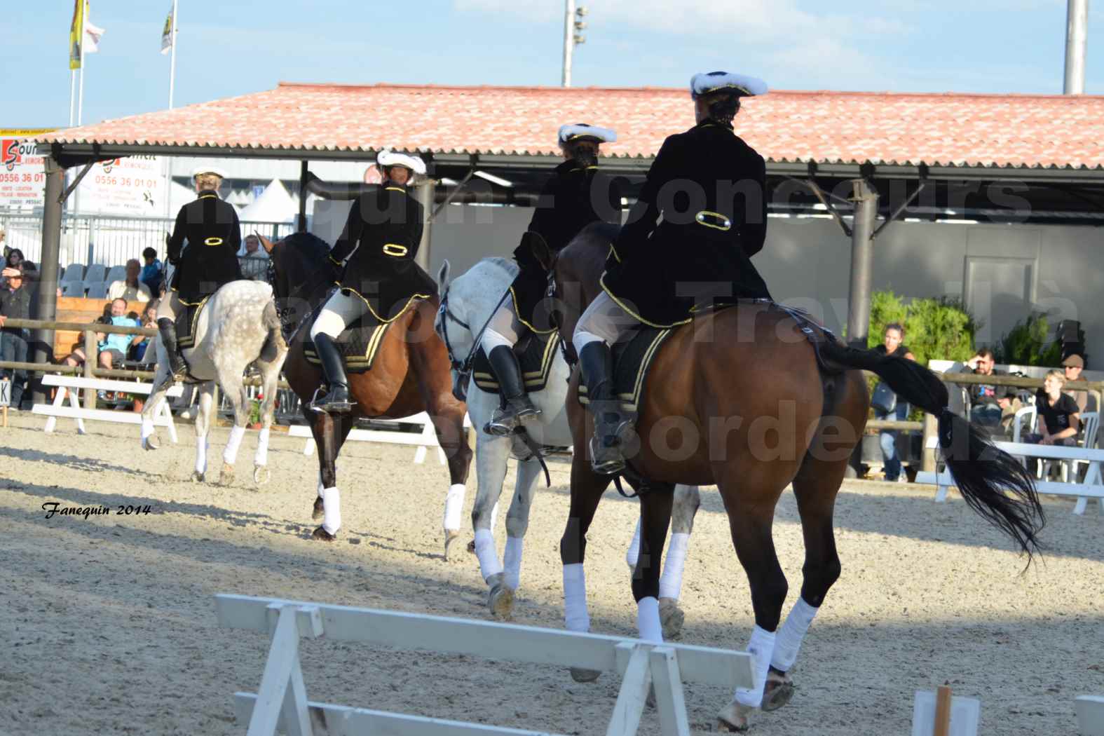 Carrousel de cavalières Equitation de travail lors du salon "Equitaine" à Bordeaux en 2014 - 54