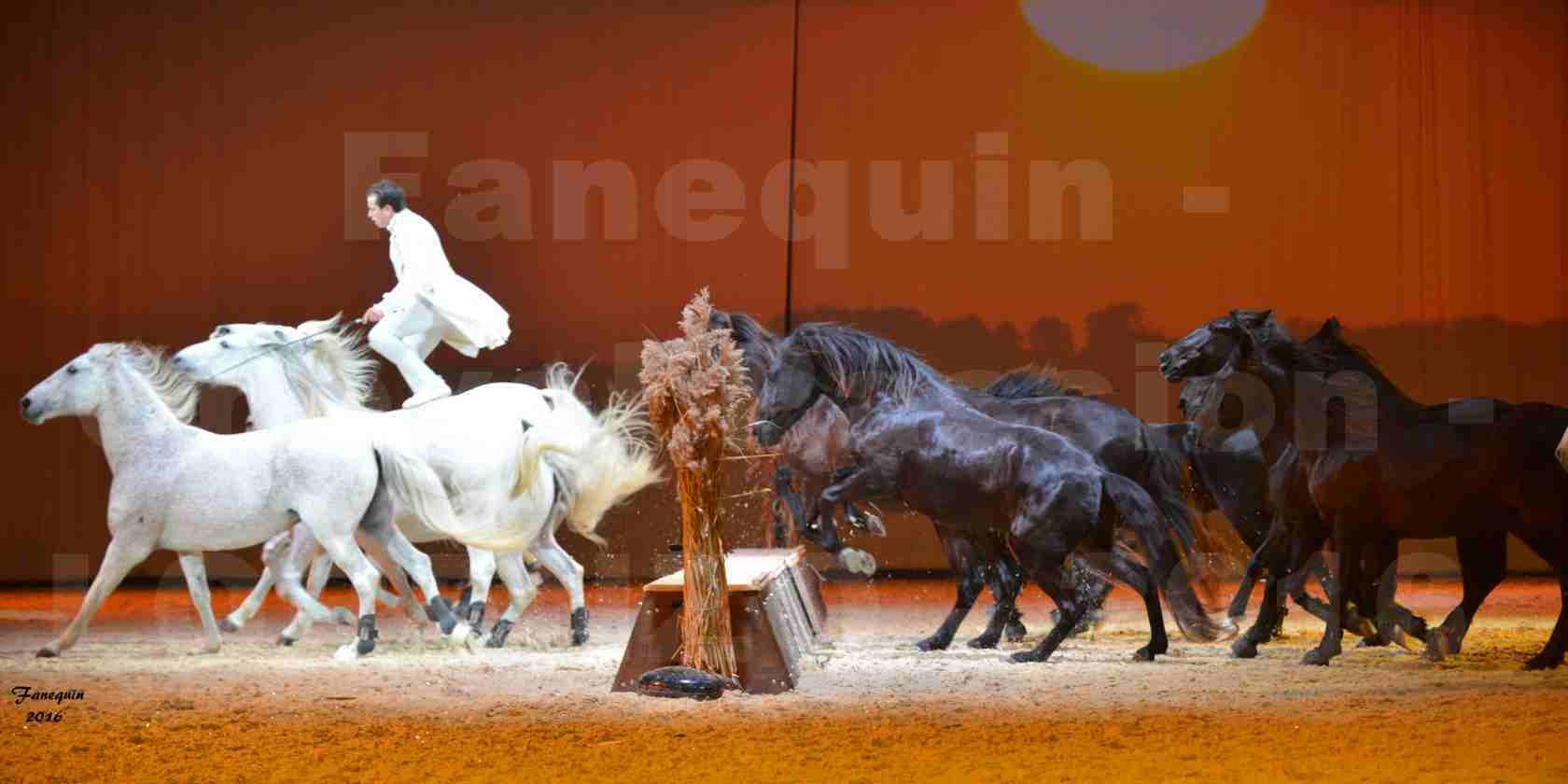 Cheval Passion 2016 - Spectacle les Crinières d'OR - LORENZO "Blanc" - représentation du 20 janvier 2016 - 38