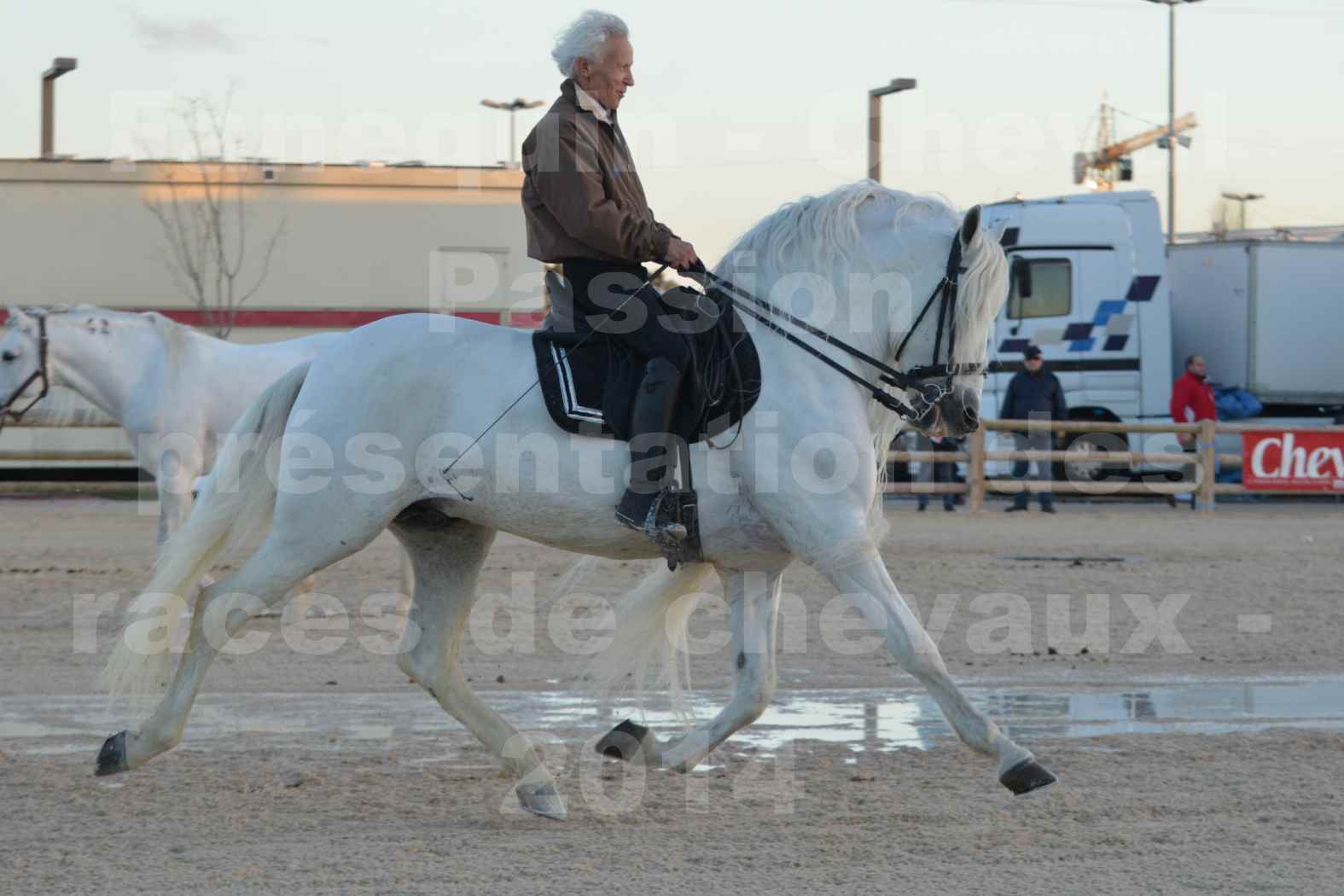 Cheval Passion 2014 - Etalon "GALAN"  blanc écurie Alain LAUZIER - Notre Sélection - 23