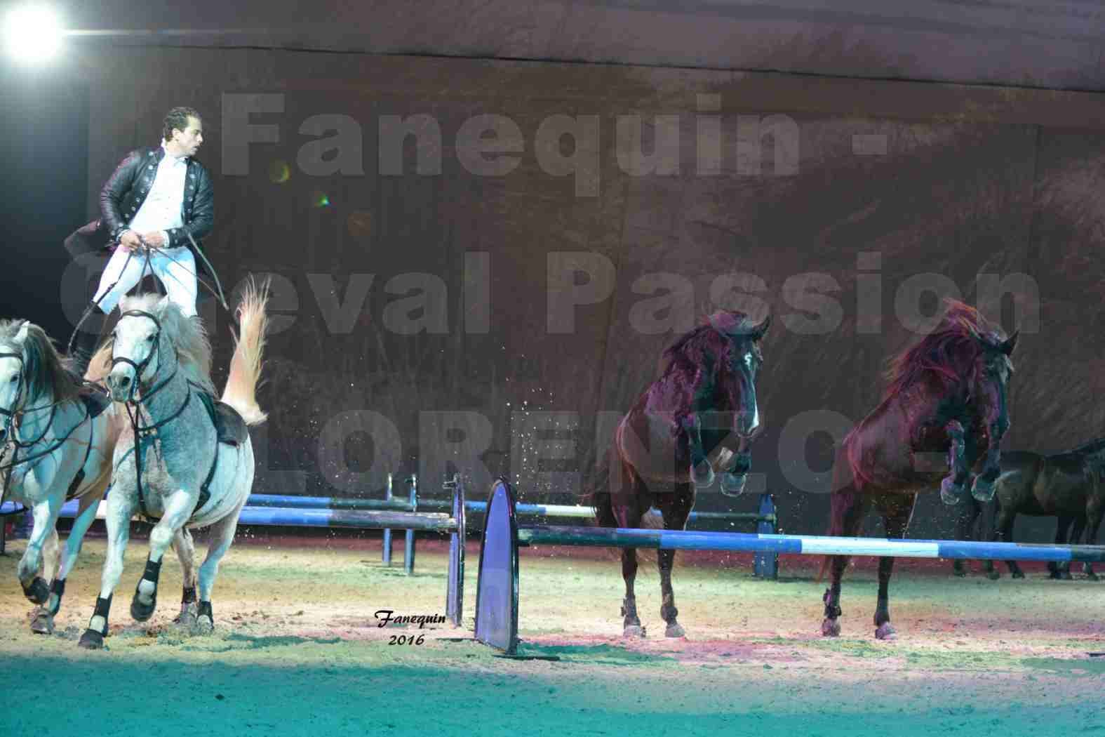 Cheval Passion 2016 - Spectacle les Crinières d'OR - LORENZO "Noir" - représentation du 23 janvier 2016 - 26