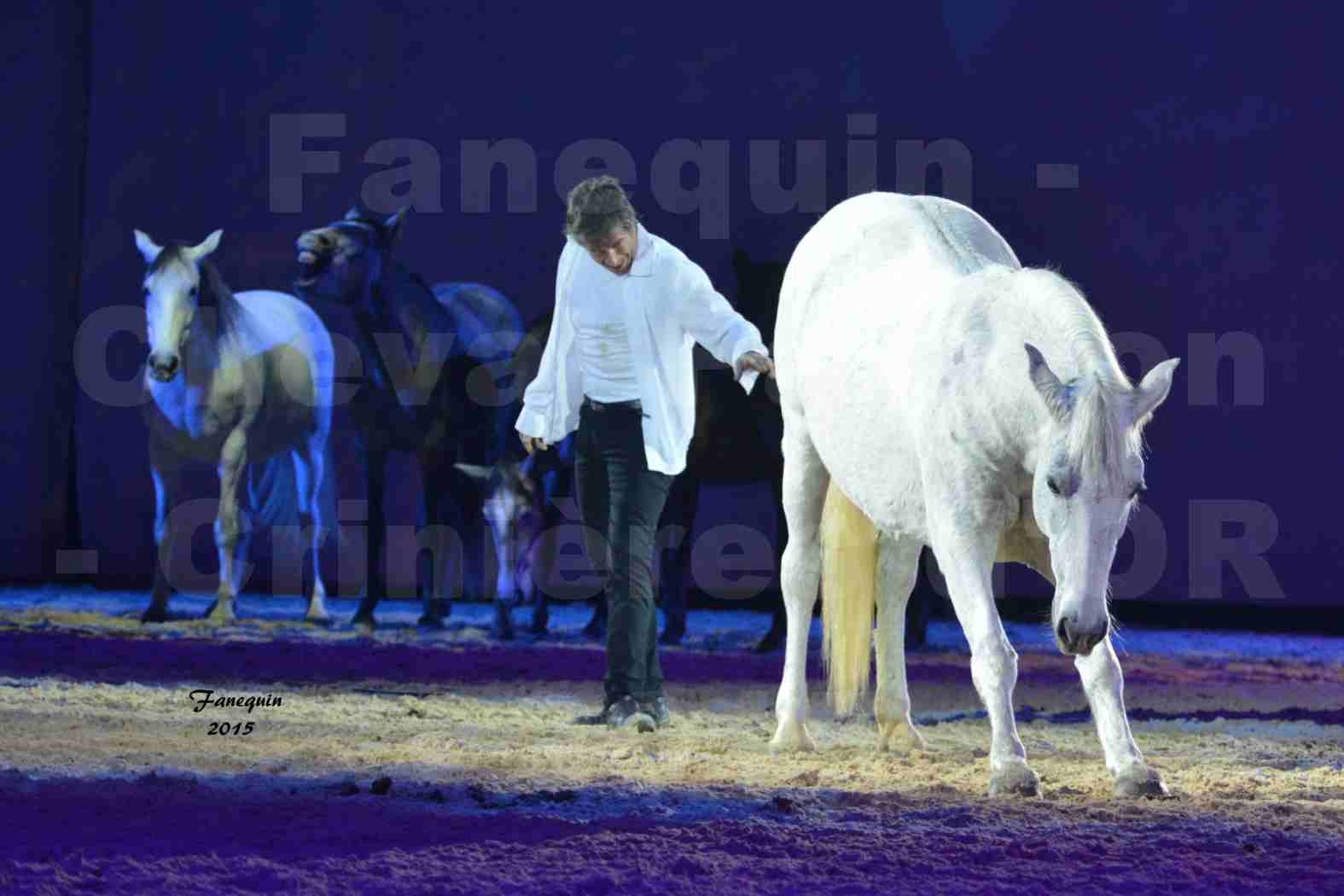 Cheval Passion 2015 - Les Crinières d'OR - Jean François PIGNON - 4