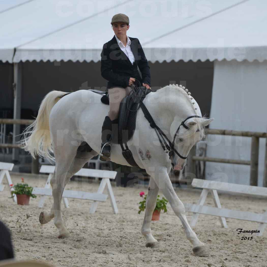 Salon Equitaine de Bordeaux 2015 - Concours d'Equitation de Travail avec chevaux Ibériques - D - 5