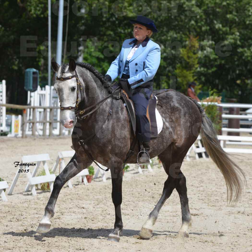 Salon Equitaine de Bordeaux 2015 - Concours d'Equitation de Travail avec chevaux Ibériques - P - 4
