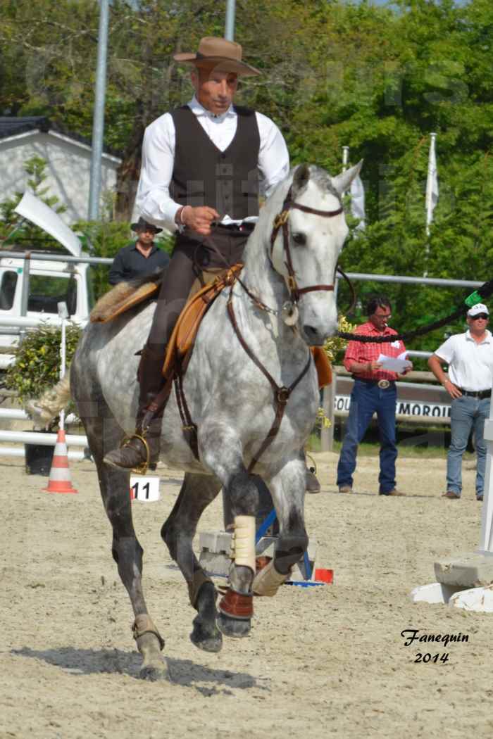 Salon Equitaine de Bordeaux en 2014 - concours Equitation de travail - Épreuve de Maniabilité chronométré - P - 26