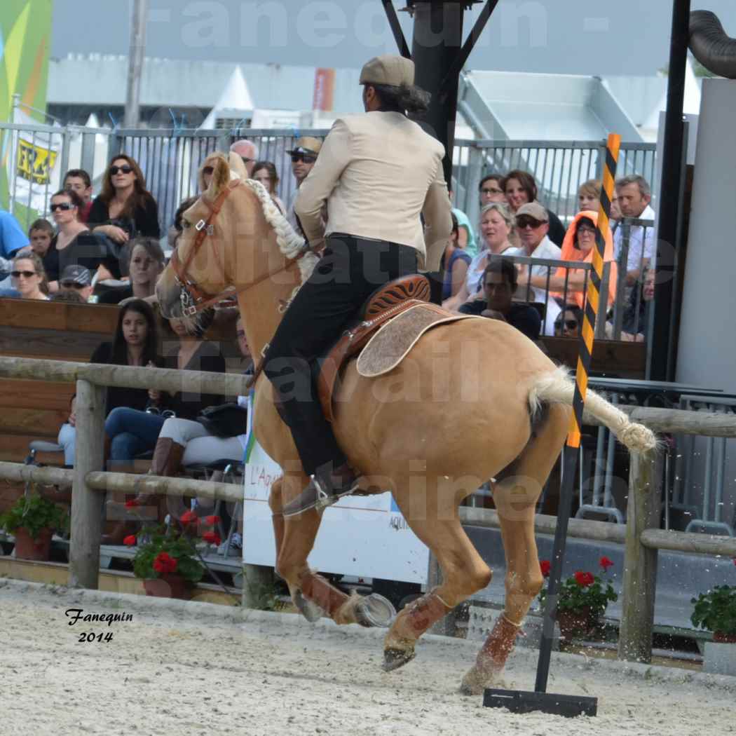 Salon Equitaine de Bordeaux en 2014 - concours Equitation de travail - Épreuve de Maniabilité chronométré - D - 04