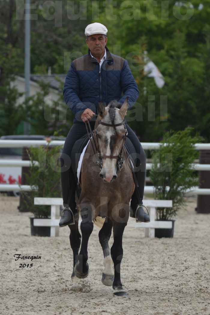 Salon Equitaine de Bordeaux 2015 - Concours d'Equitation de Travail avec chevaux Ibériques - L - 13