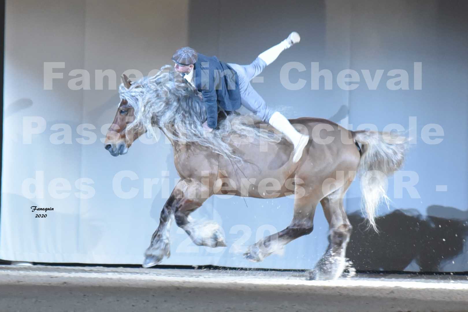 Cheval Passion 2020 - Les Crinières d'OR - Samuel HAFRAD & Jérôme SEFER - 27