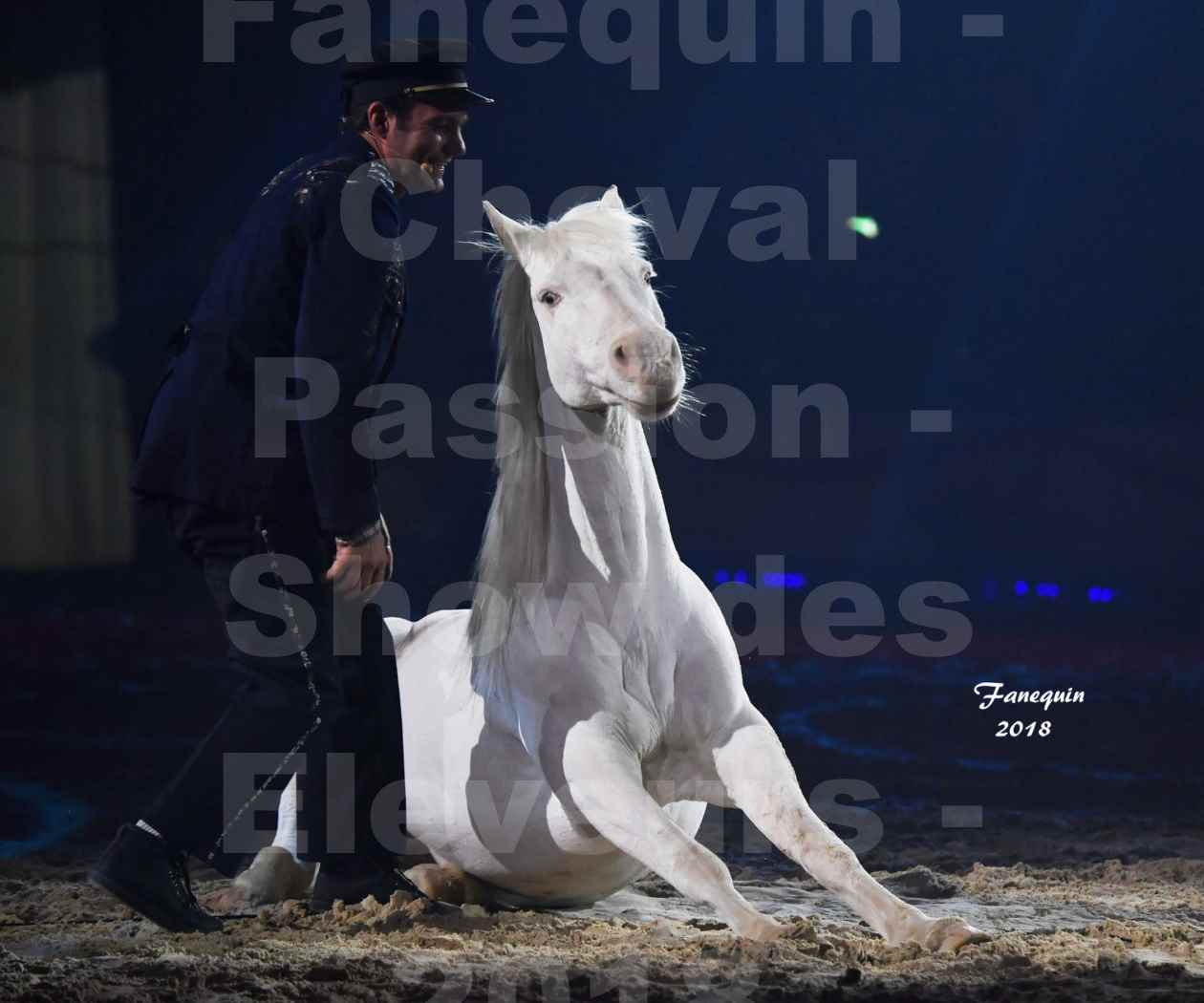 Cheval Passion 2018 - Spectacle les Crinières d'OR - Le FACTEUR 3 - 11