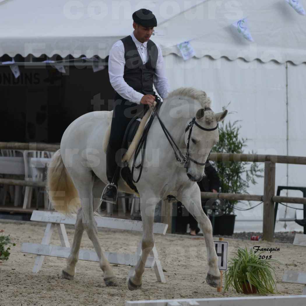 Salon Equitaine de Bordeaux 2015 - Concours d'Equitation de Travail avec chevaux Ibériques - H - 1