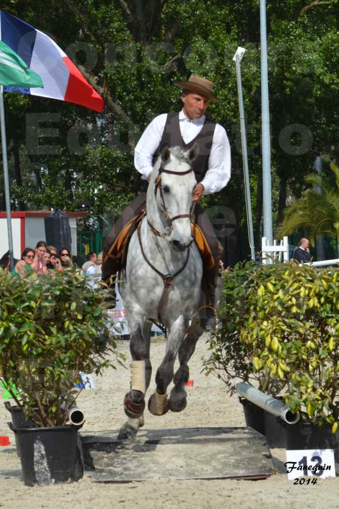 Salon Equitaine de Bordeaux en 2014 - concours Equitation de travail - Épreuve de Maniabilité chronométré - P - 40