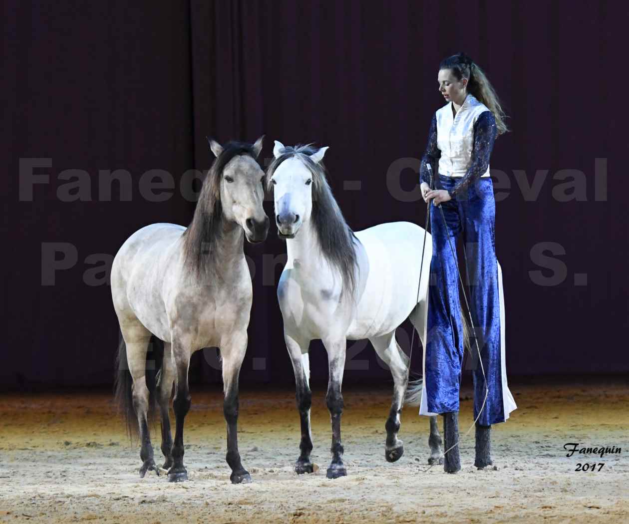 Cheval Passion 2017 - M. I. S. E. C. - Lucie VAUTHIER & 3 chevaux en liberté - 01