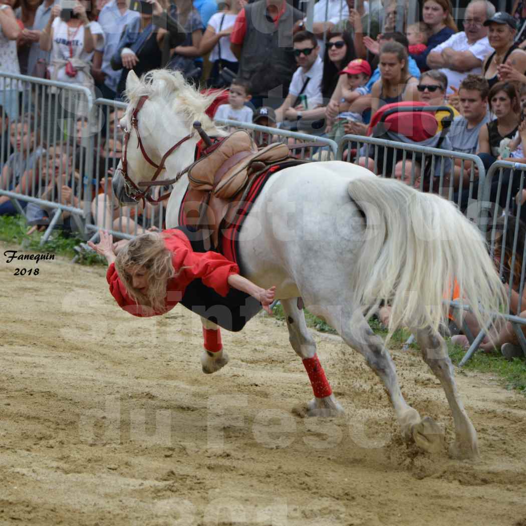 Spectacle Équestre le 3 juin 2018 à Saint Gély du Fesc - Voltige équestre - Troupe de Jean Antoine FIRMIN - 42