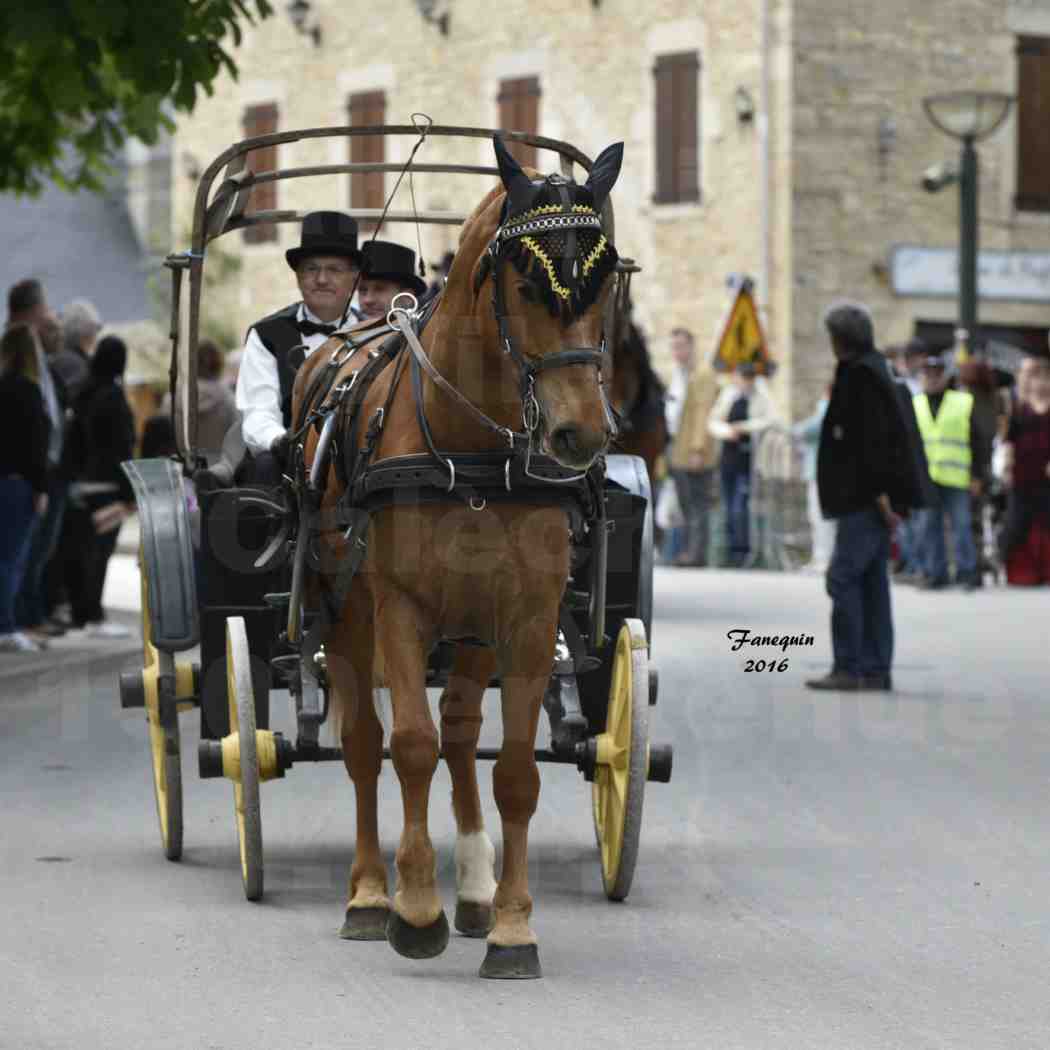 Défilé de calèches de 1900 dans les rues de Villeneuve d'Aveyron le 15 mai 2016 - Attelage simple de Trotteur - calèche 4 roues - 2