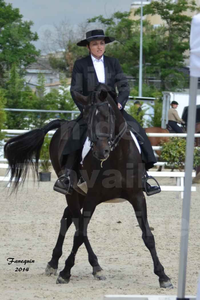 Salon Equitaine de Bordeaux en 2014 - concours Equitation de travail - Épreuve de Dressage - 10