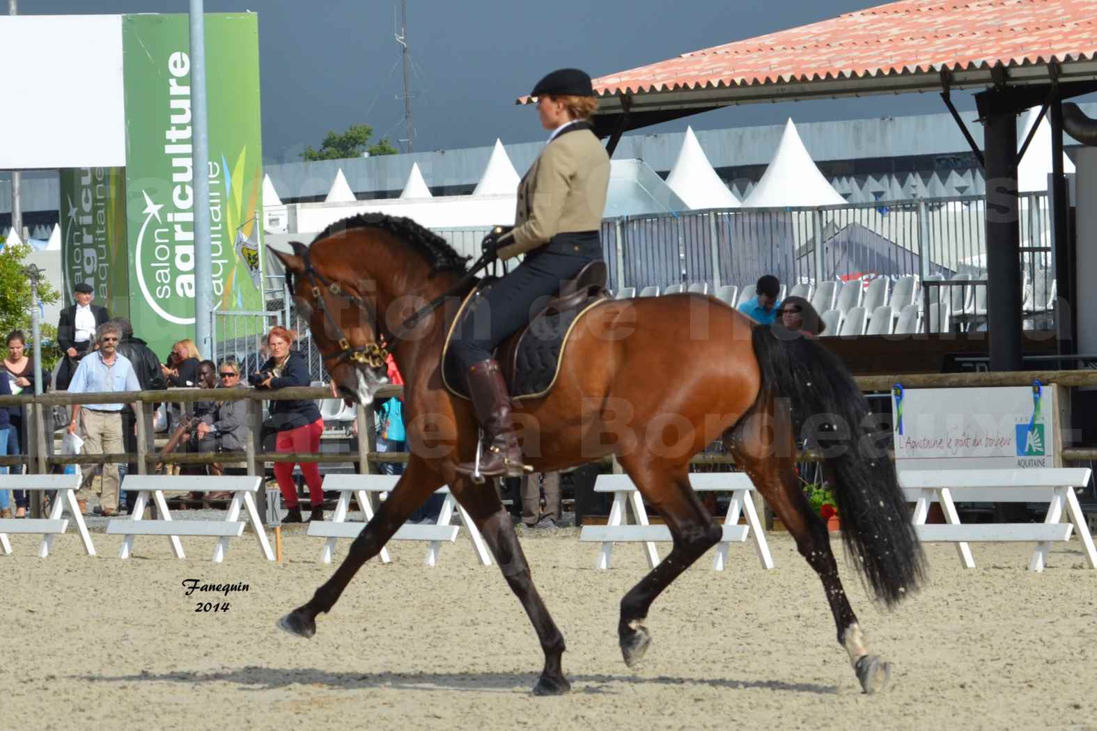 Salon Equitaine de Bordeaux en 2014 - concours Equitation de travail - Épreuve de Dressage - 04