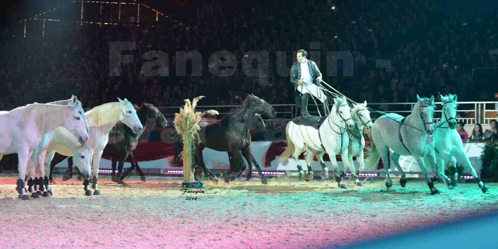 Cheval Passion 2016 - Spectacle les Crinières d'OR - LORENZO "Noir" - représentation du 23 janvier 2016 - 06