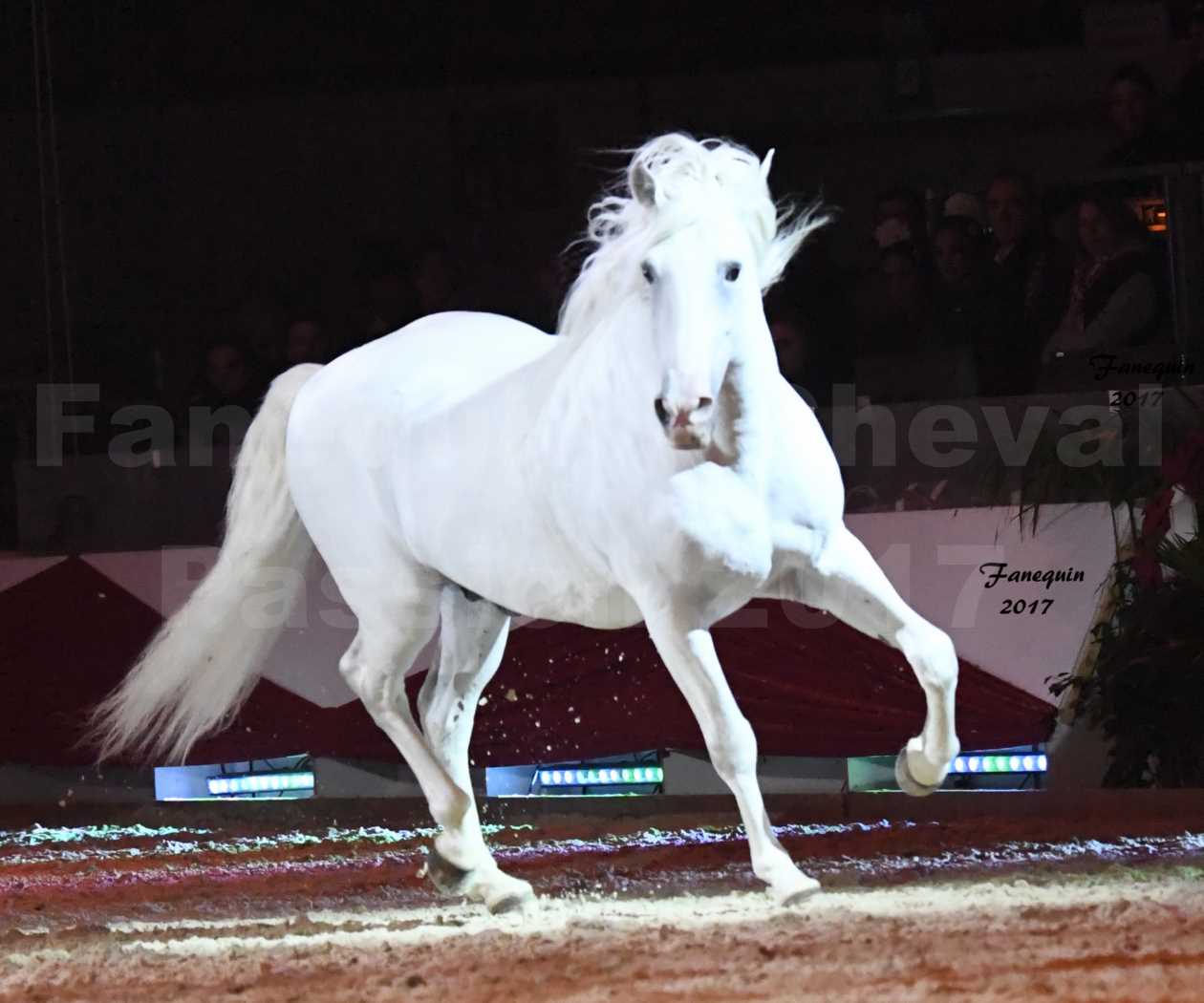 Cheval Passion 2017 - gala des Crinières d'OR - GARI ZOHER - 13