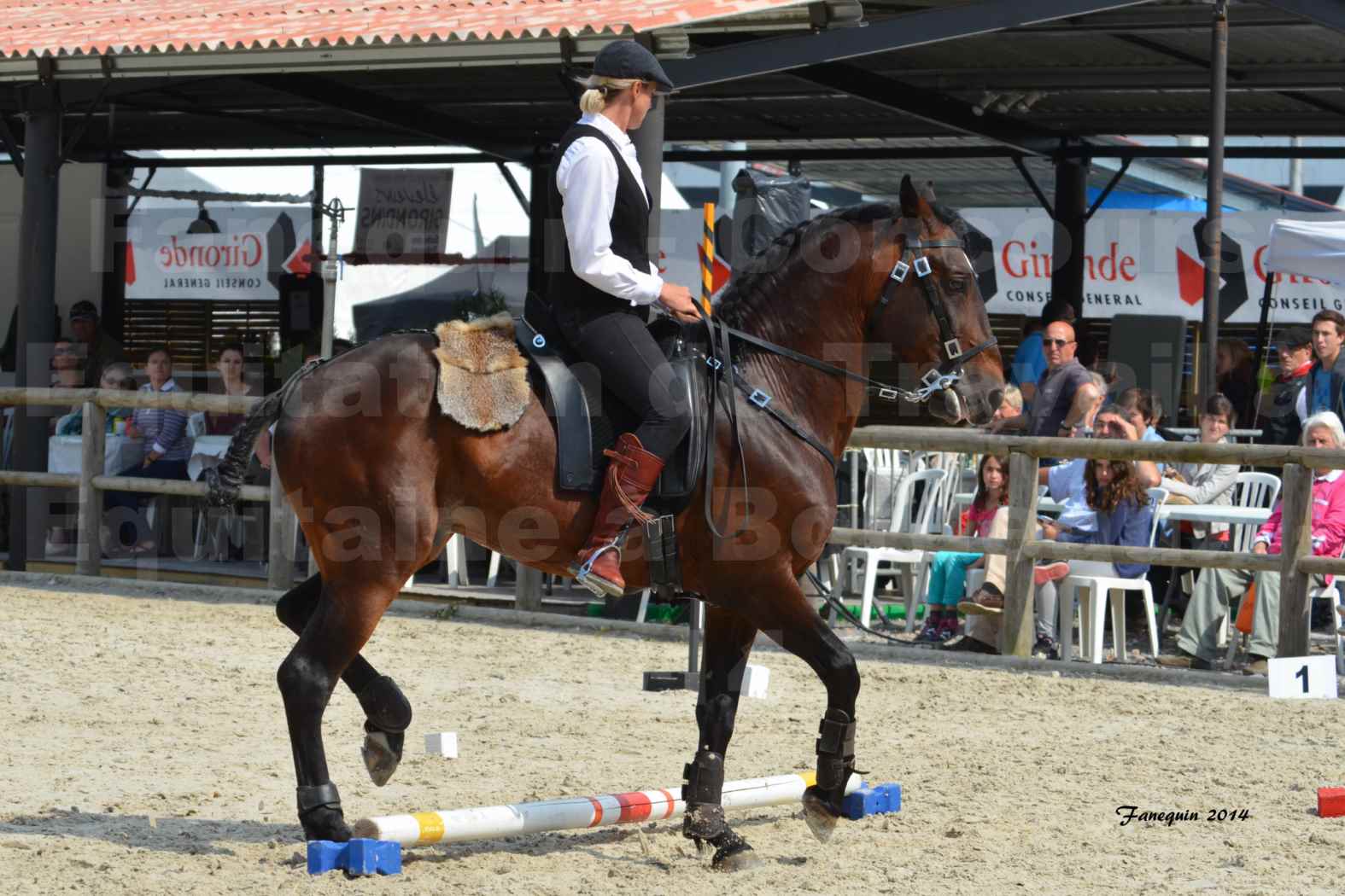 Salon Equitaine de Bordeaux en 2014 - concours Equitation de travail - Épreuve de Maniabilité chronométré - E - 03