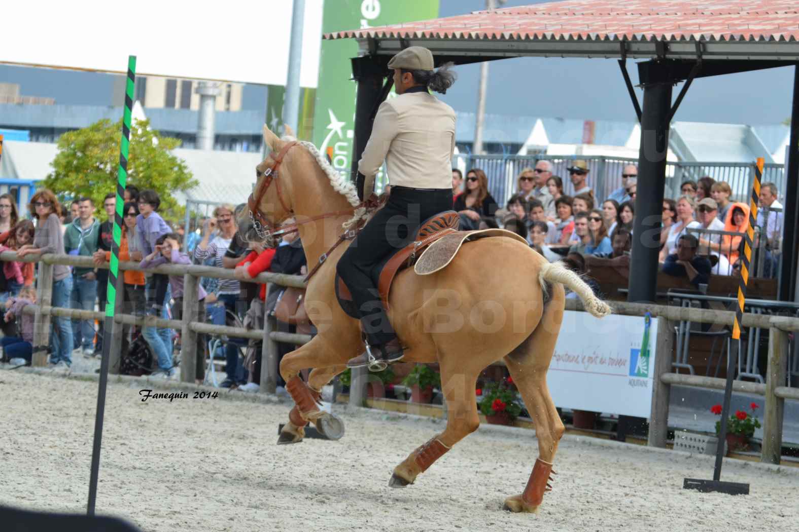 Salon Equitaine de Bordeaux en 2014 - concours Equitation de travail - Épreuve de Maniabilité chronométré - D - 11