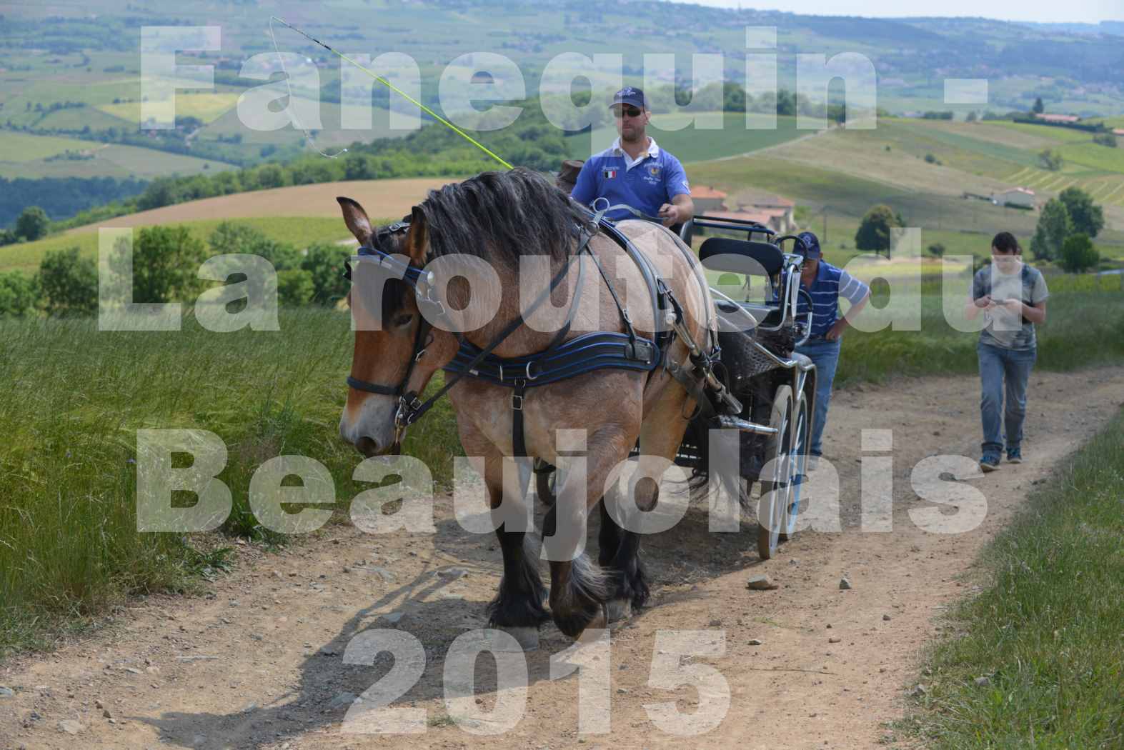 La Route Du Beaujolais 2015 - dimanche 24 mai 2015 - parcours en matinée - deuxième partie - 40