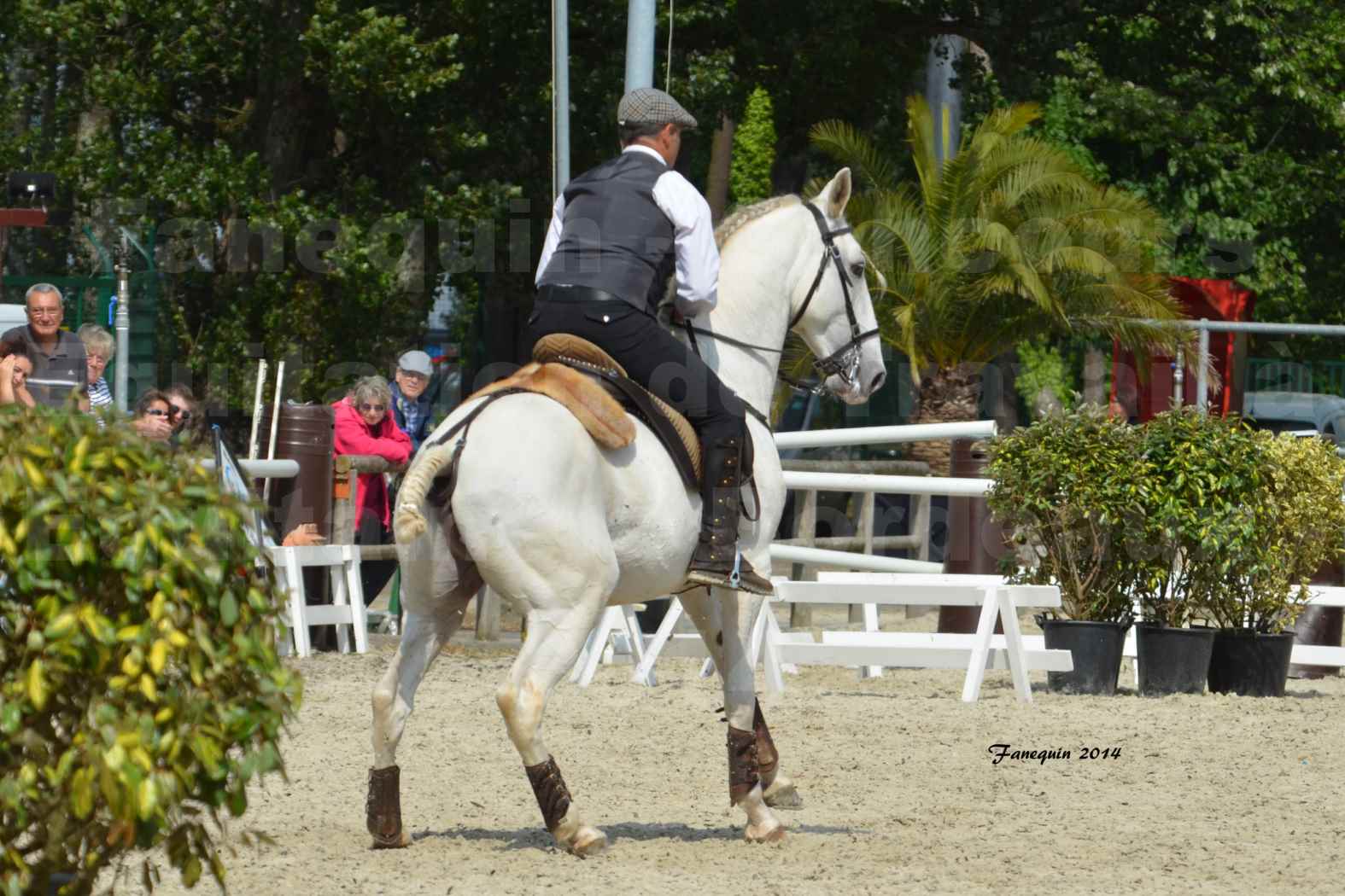 Salon Equitaine de Bordeaux en 2014 - concours Equitation de travail - Épreuve de Maniabilité chronométré - H - 07