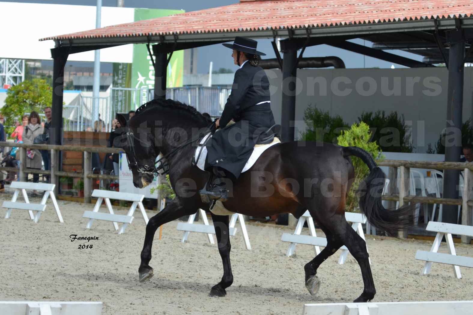 Salon Equitaine de Bordeaux en 2014 - concours Equitation de travail - Épreuve de Dressage - 02