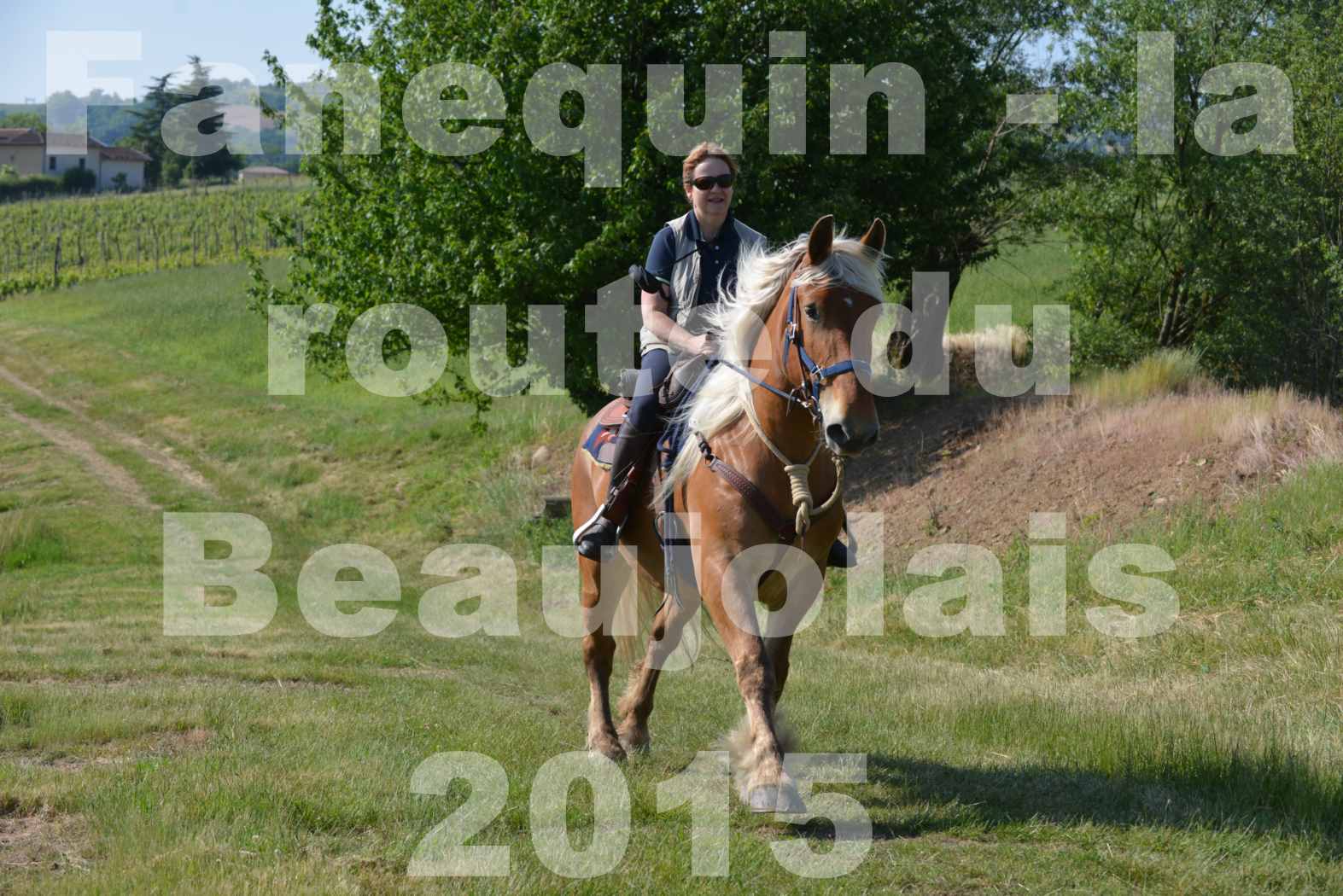 La Route Du Beaujolais 2015 - dimanche 24 mai 2015 - parcours en matinée - 12