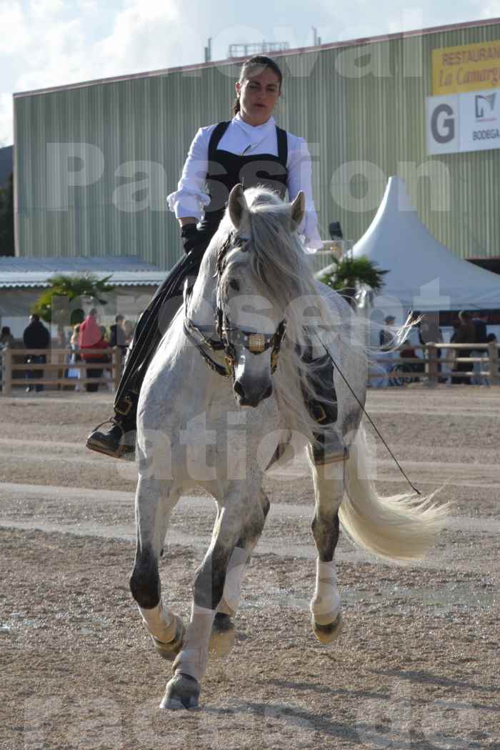 Cheval Passion 2014 - Frédériq VIGNE - Notre Sélection - 07