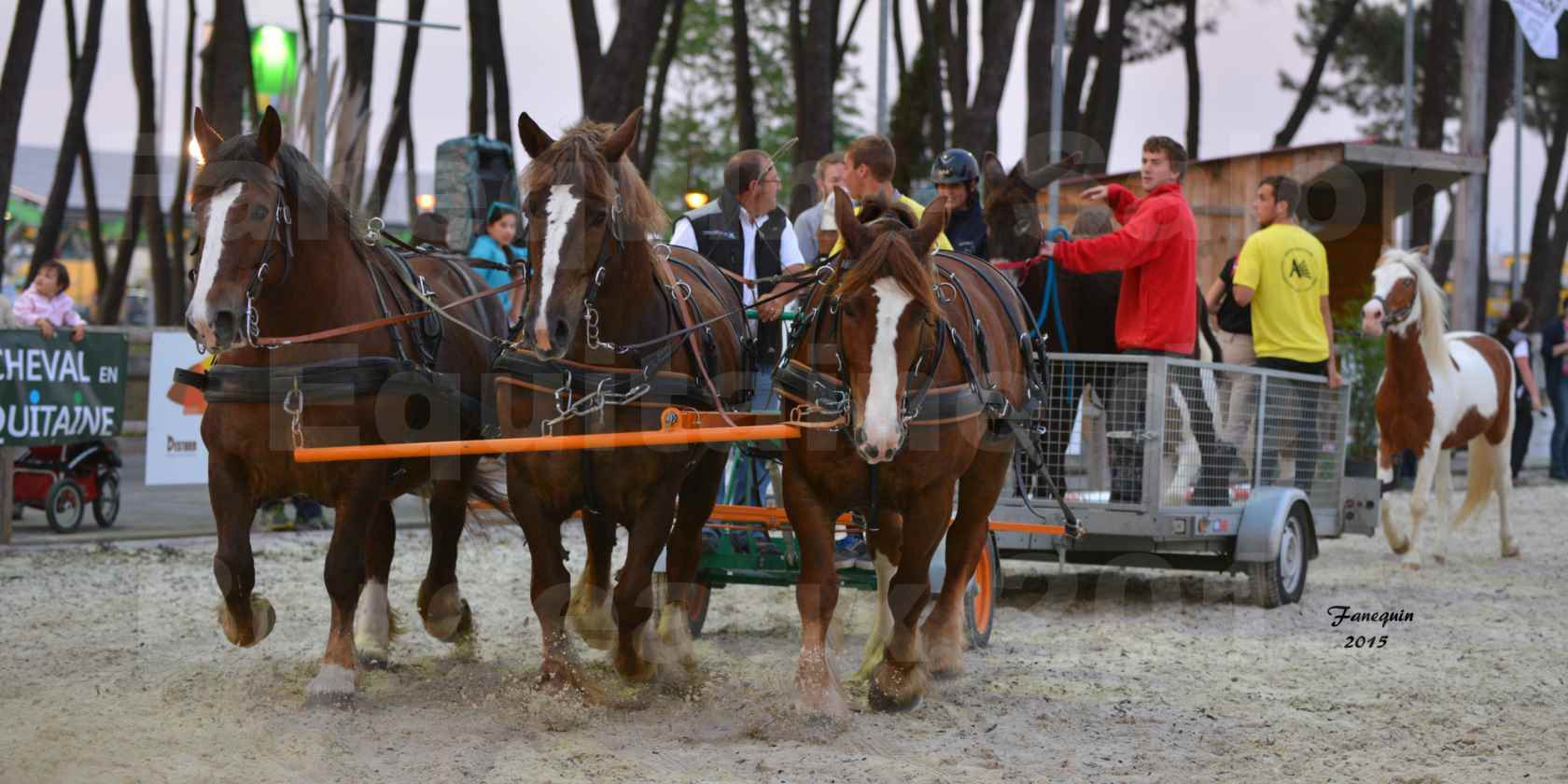 Salon Equitaine de Bordeaux 2015 - Démonstration d'attelage à 3 chevaux de front - 12