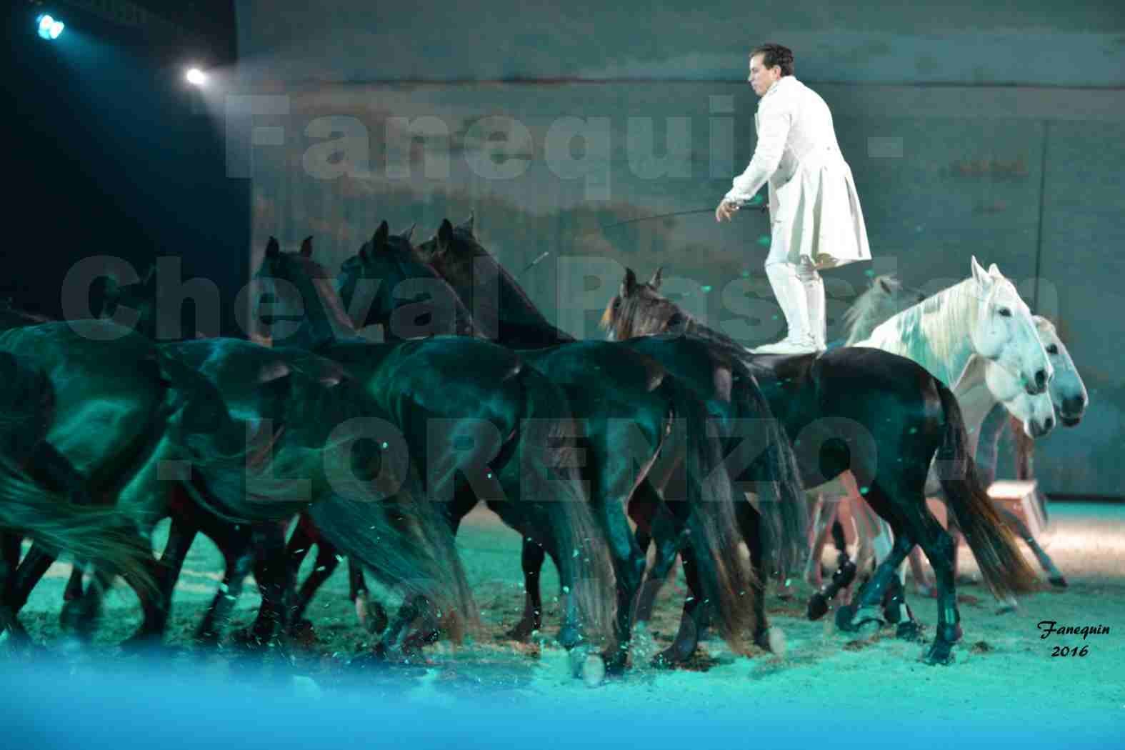 Cheval Passion 2016 - Spectacle les Crinières d'OR - LORENZO "Blanc" - représentation du 20 janvier 2016 - 25