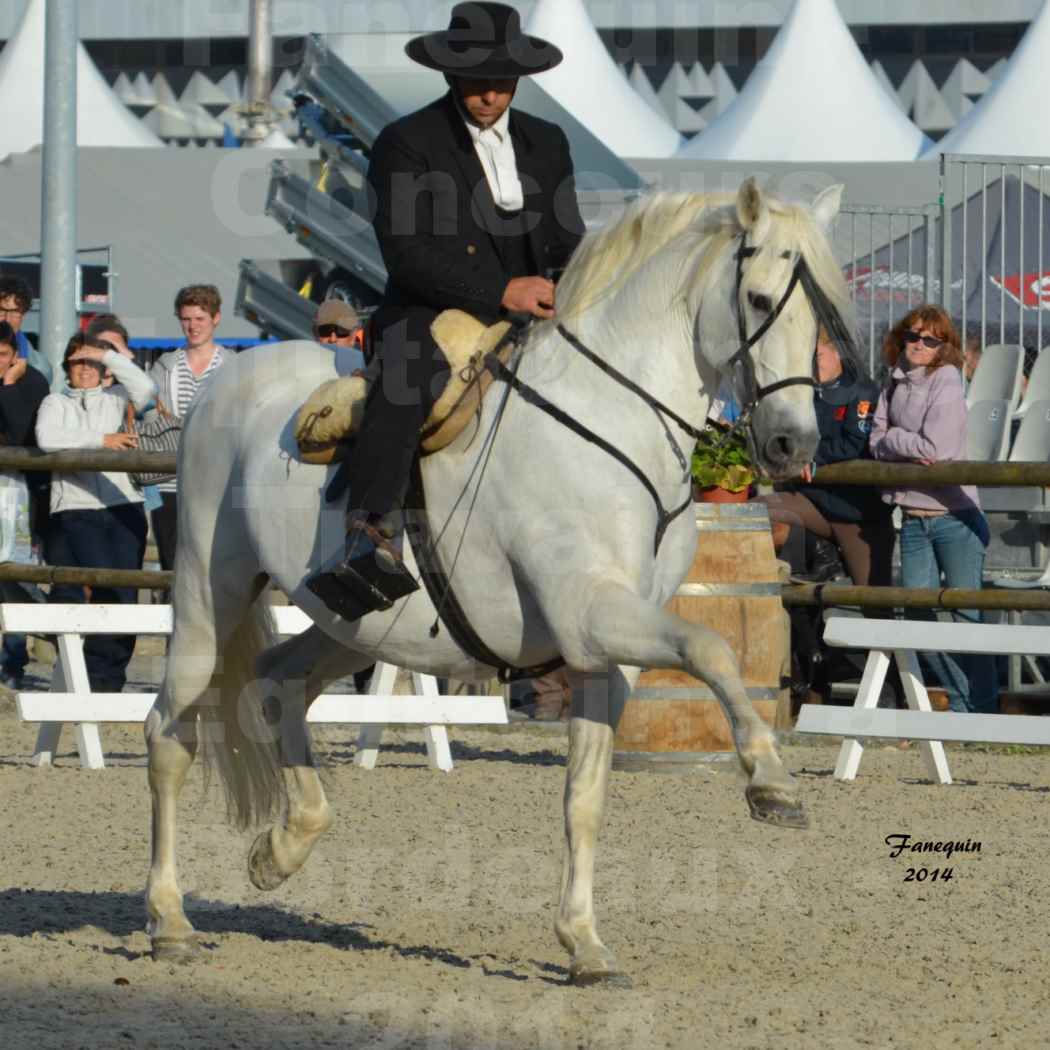 Salon Equitaine de Bordeaux en 2014 - concours Equitation de travail - Épreuve de Dressage - 03