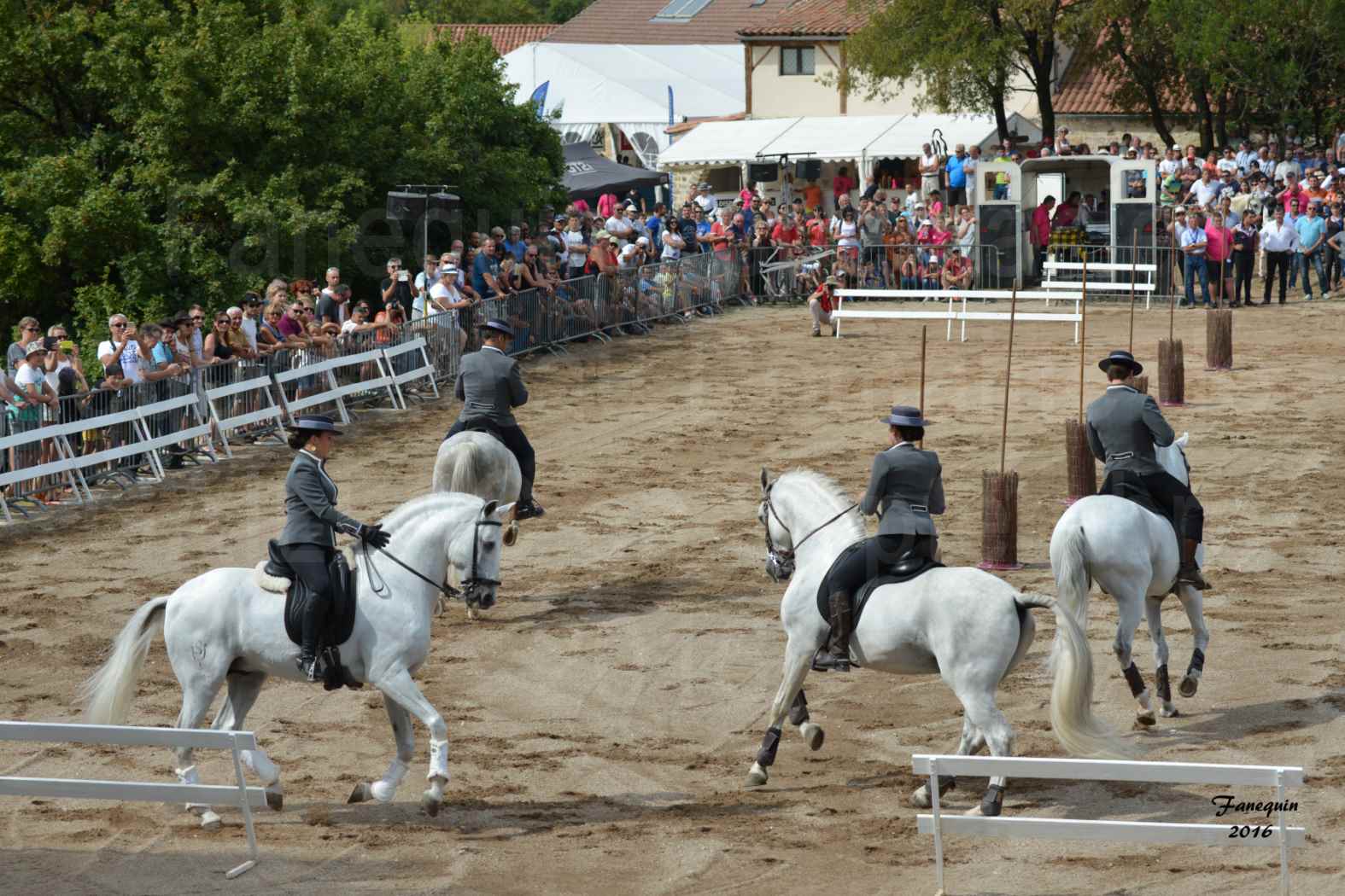 Spectacle équestre le 4 Septembre 2016 au Domaine de GAILLAC - Démonstration de CARROUSEL de chevaux LUSITANIENS - 05