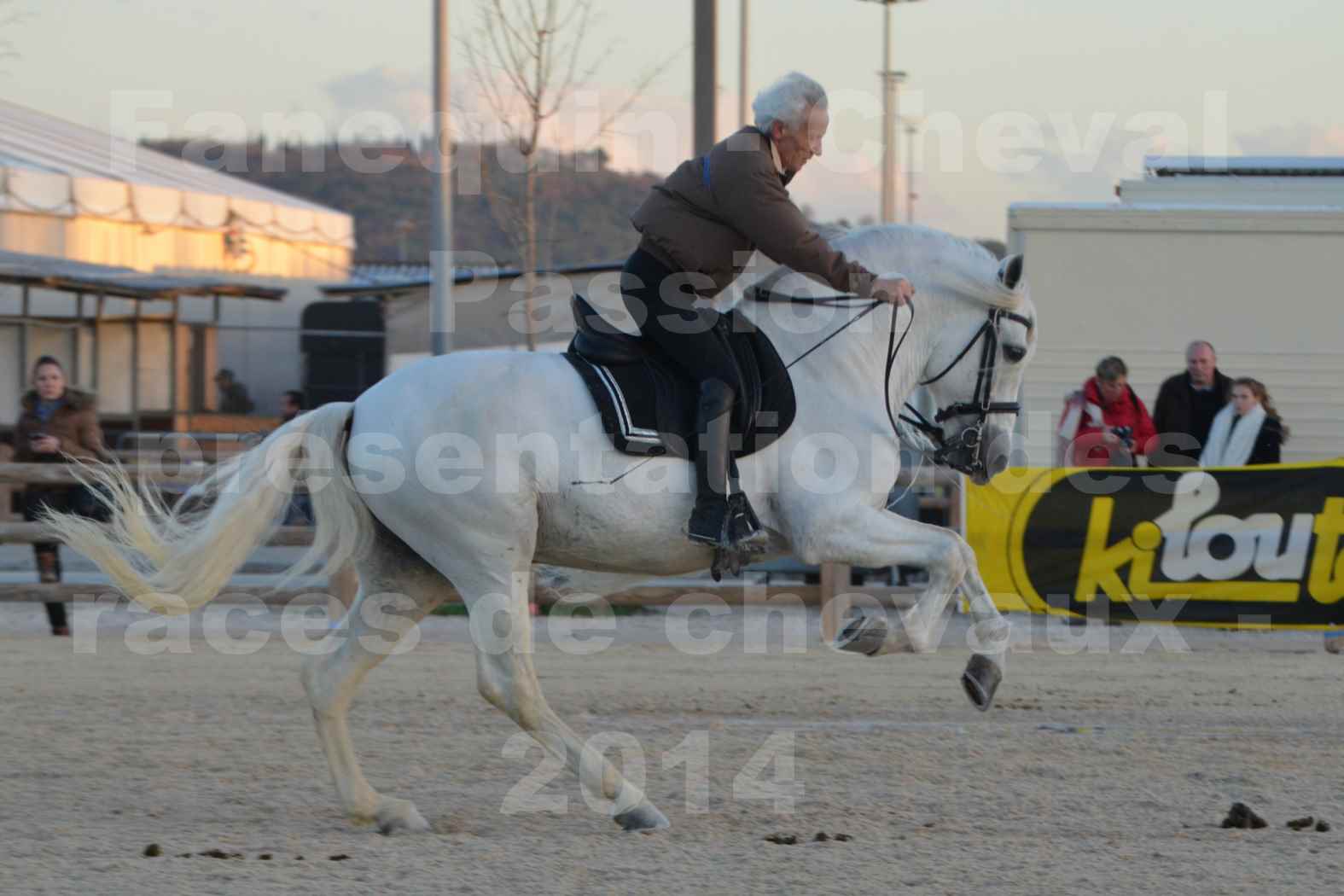 Cheval Passion 2014 - Etalon "GALAN"  blanc écurie Alain LAUZIER - Notre Sélection - 26