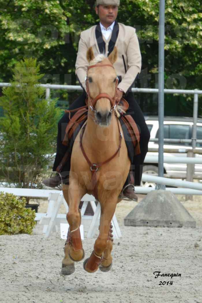 Salon Equitaine de Bordeaux en 2014 - concours Equitation de travail - Épreuve de Maniabilité chronométré - D - 08