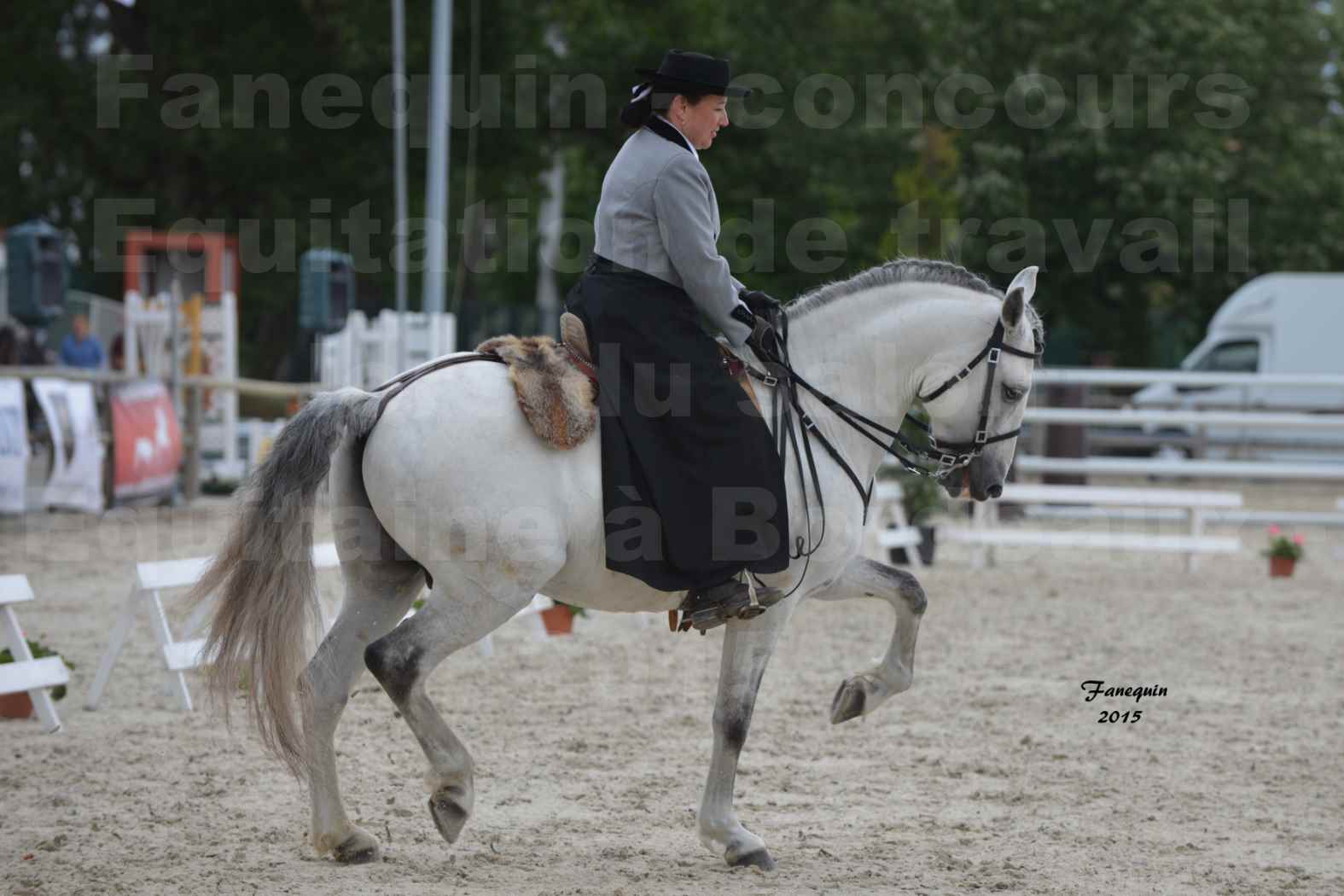 Salon Equitaine de Bordeaux 2015 - Concours d'Equitation de Travail avec chevaux Ibériques - V - 03