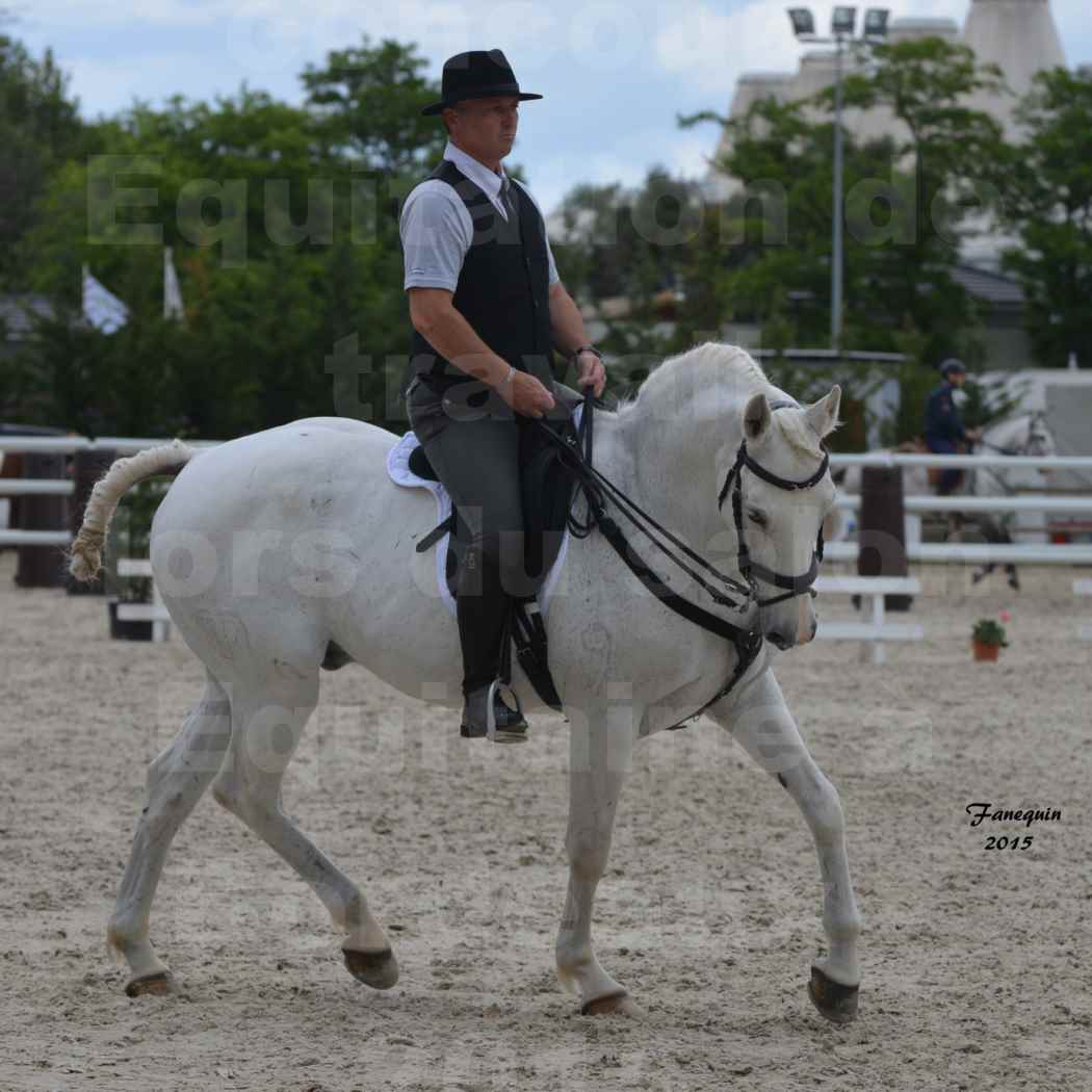 Salon Equitaine de Bordeaux 2015 - Concours d'Equitation de Travail avec chevaux Ibériques - Y - 1