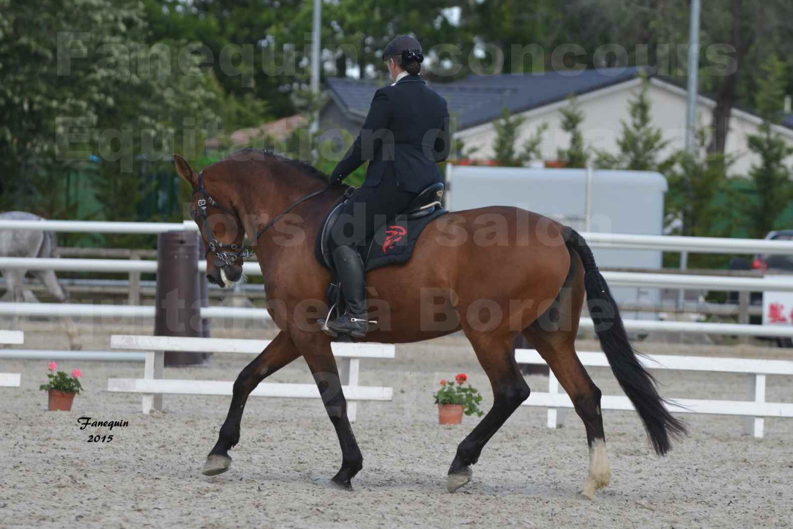Salon Equitaine de Bordeaux 2015 - Concours d'Equitation de Travail avec chevaux Ibériques - E - 3
